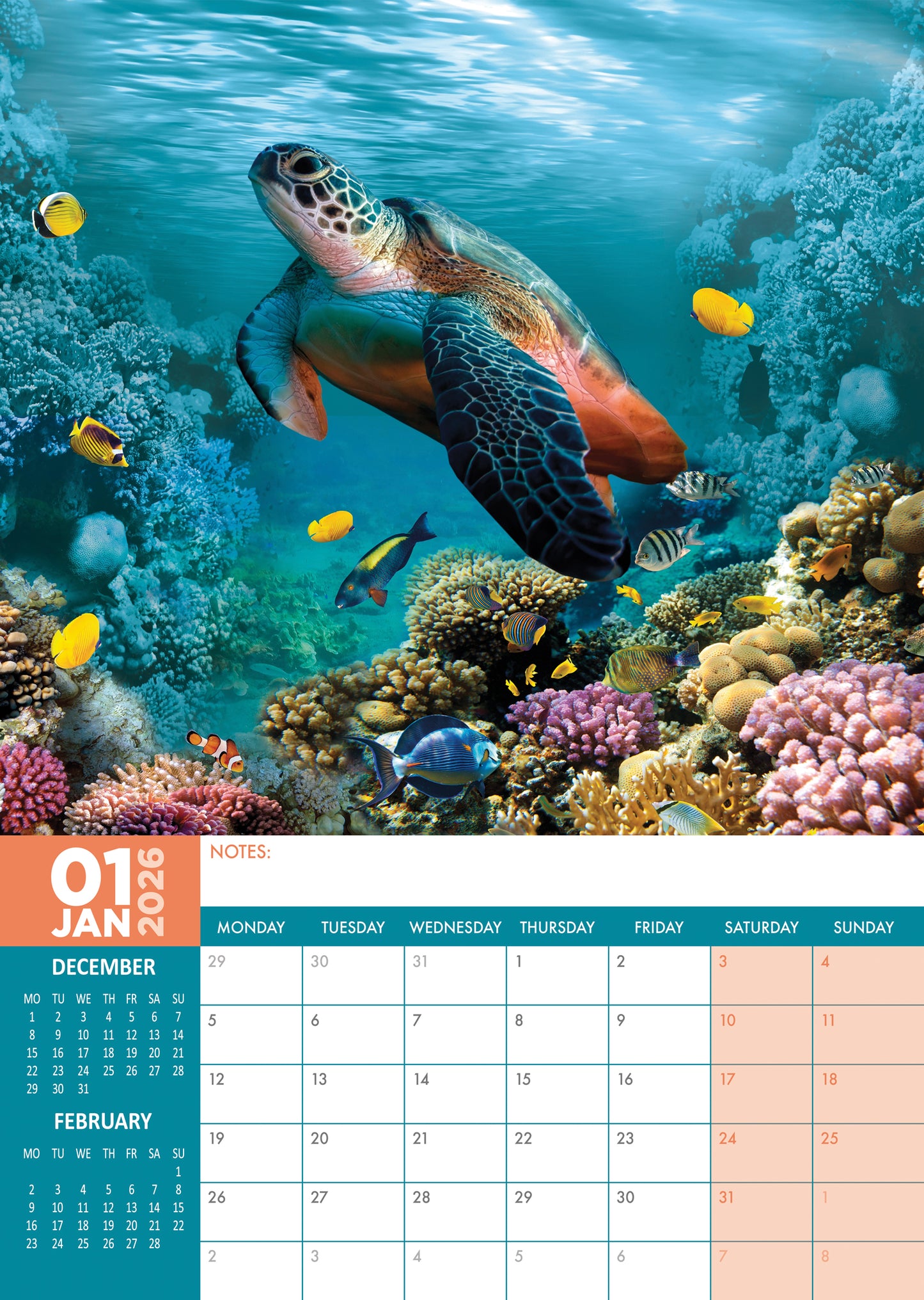 Turtles Calendar 2026 – A Serene Journey Through Nature