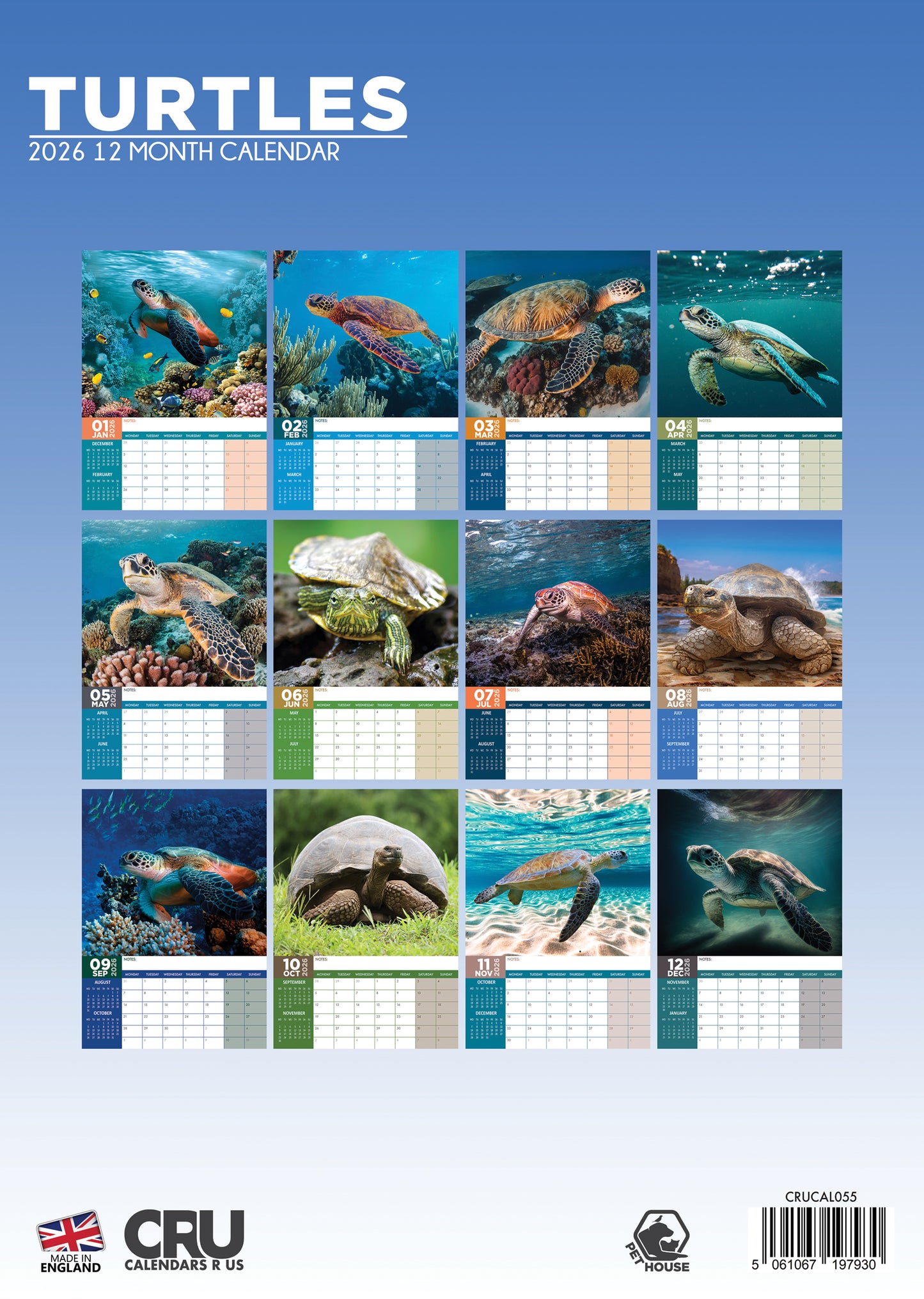 Turtles Calendar 2026 – A Serene Journey Through Nature