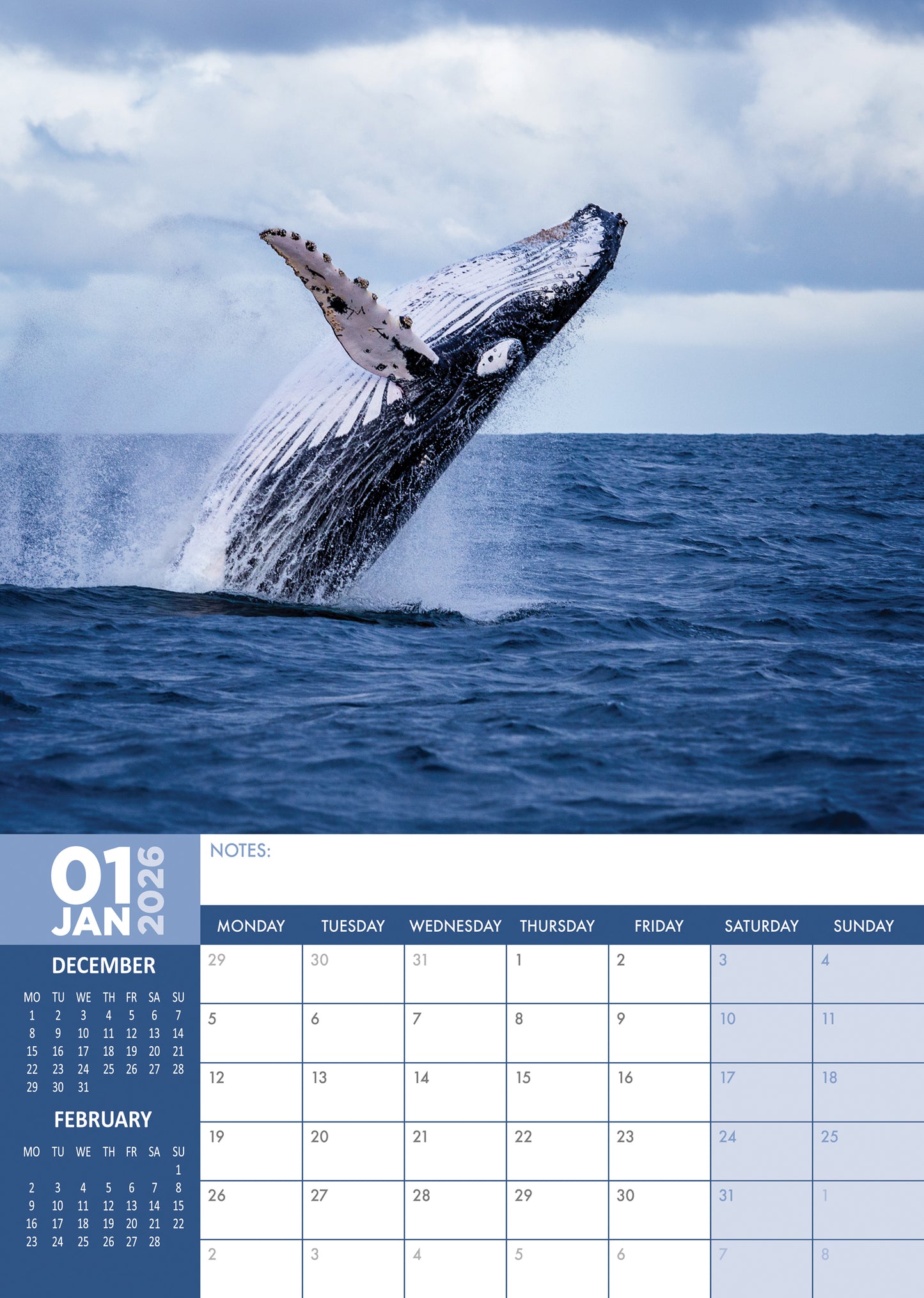 Whales Calendar 2026 – Majestic Ocean Giants in Stunning Detail