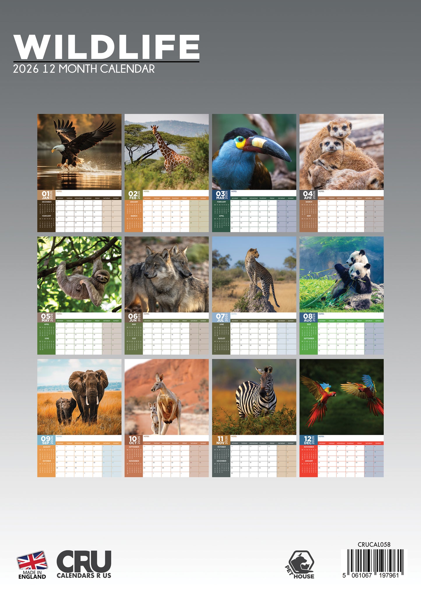 Wildlife Calendar 2026 – Explore the Beauty of Nature All Year Long