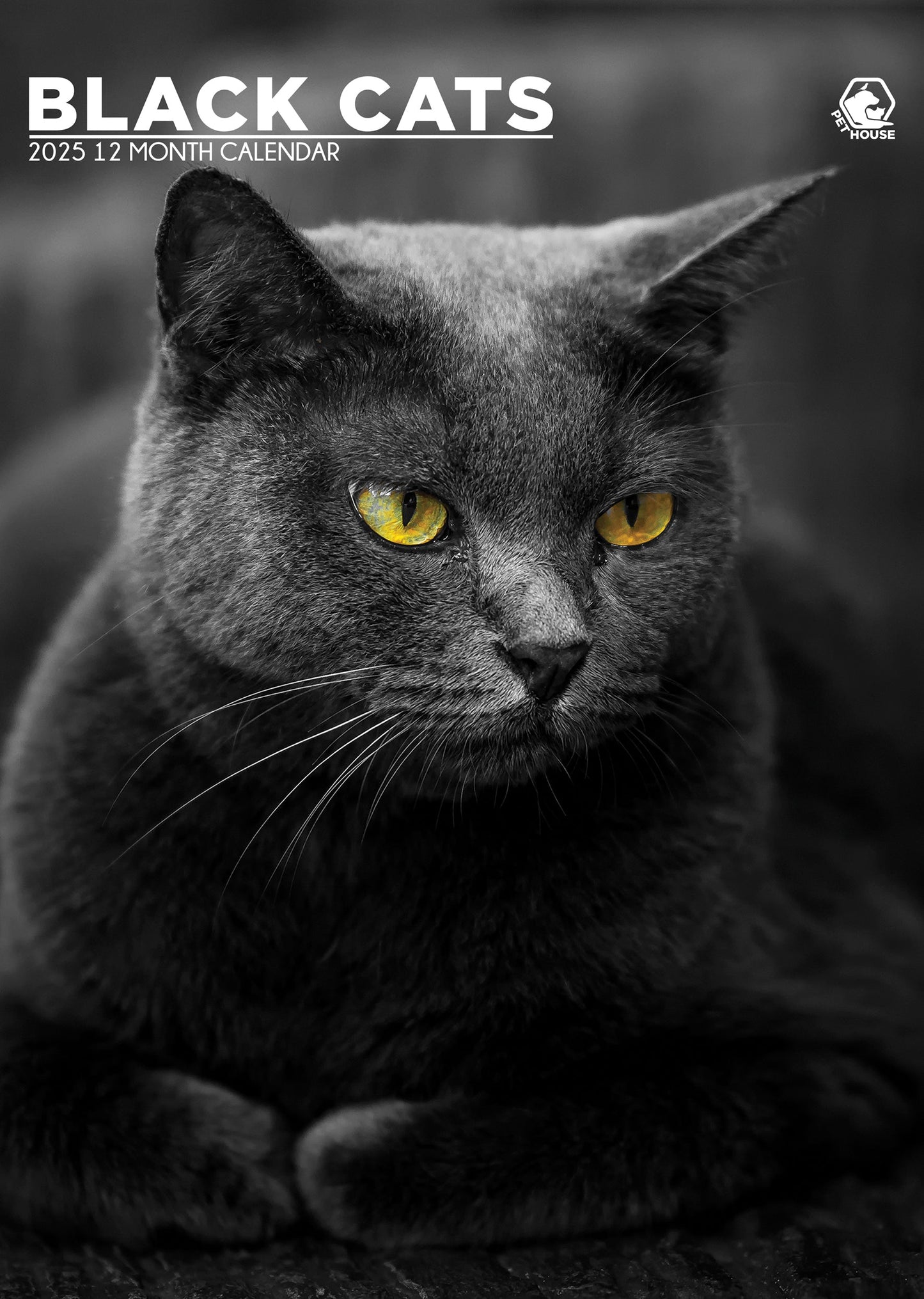 Black Cats Calendar 2026 – A Year of Mystical Beauty