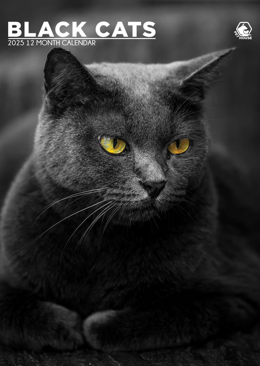 Black Cats Calendar 2026 – A Year of Mystical Beauty