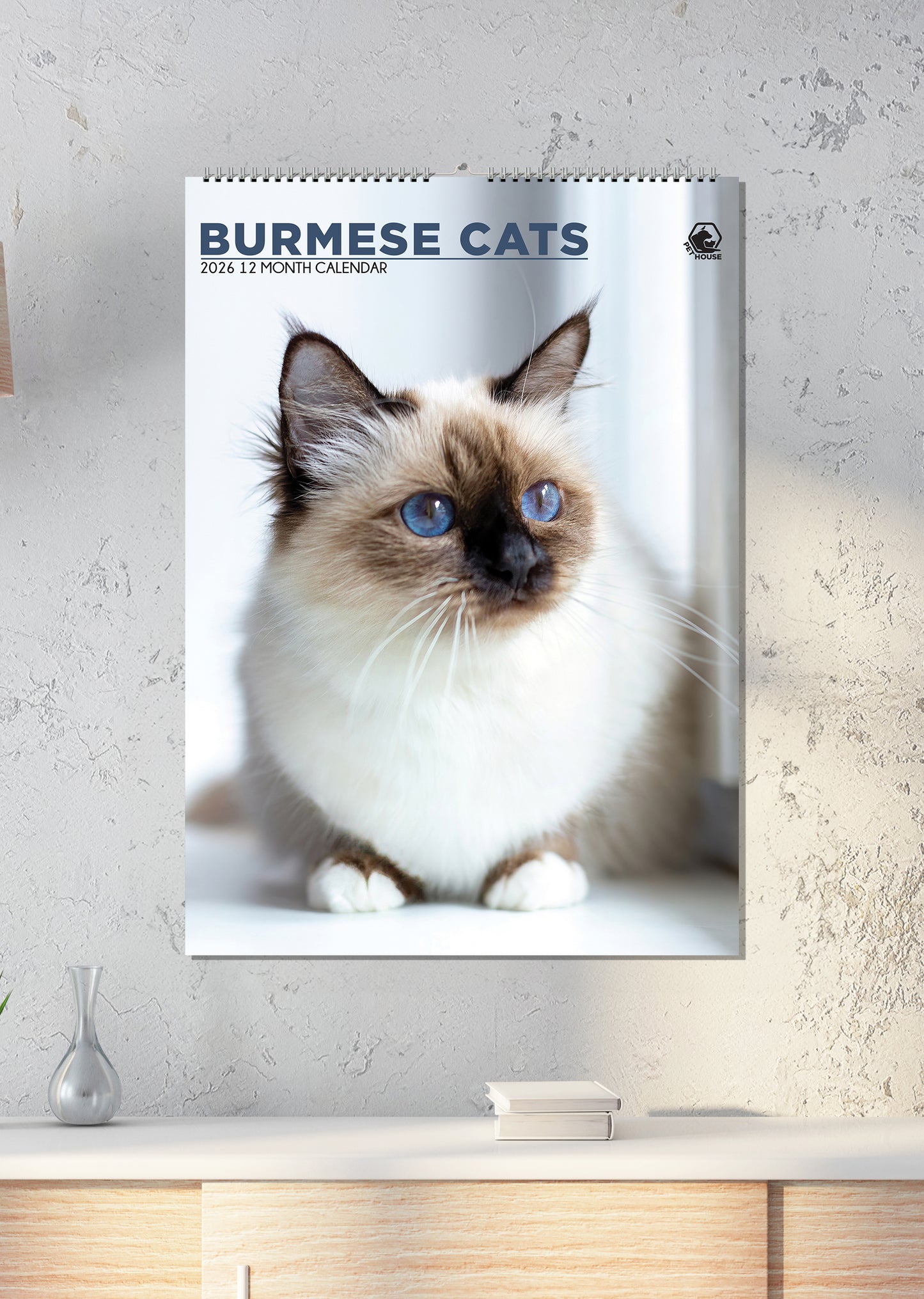 Burmese Cats Calendar 2026 – A Year of Grace and Charm