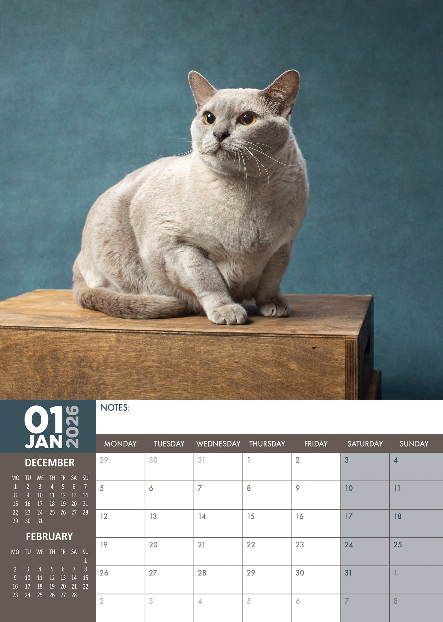Burmese Cats Calendar 2026 – A Year of Grace and Charm