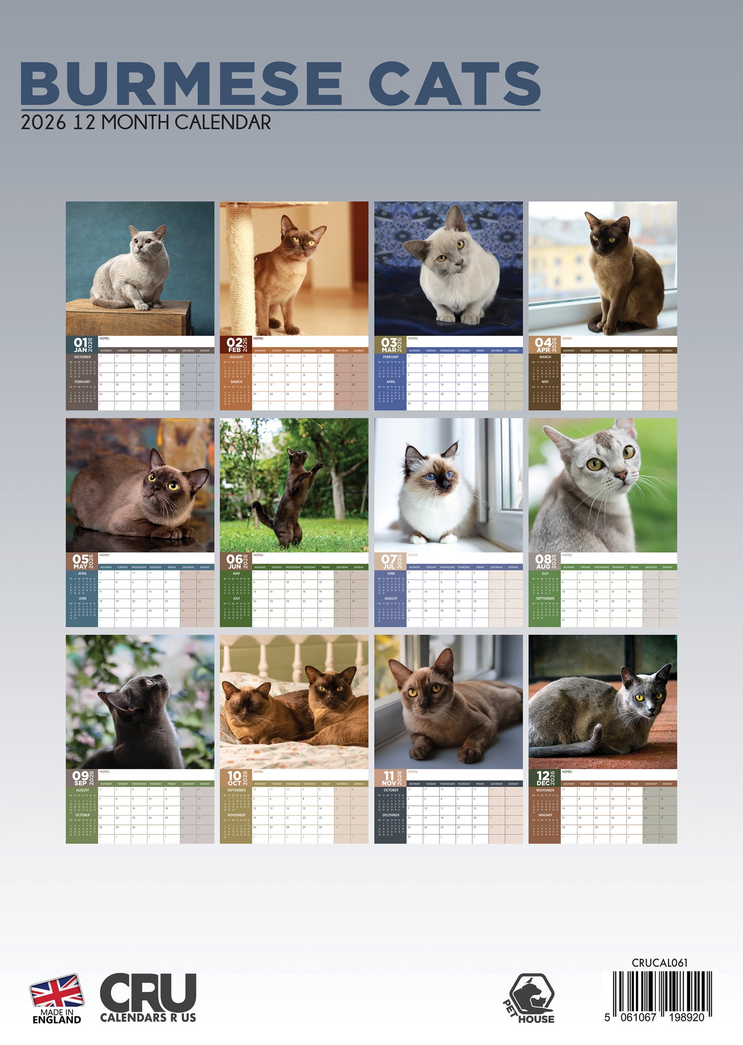 Burmese Cats Calendar 2026 – A Year of Grace and Charm