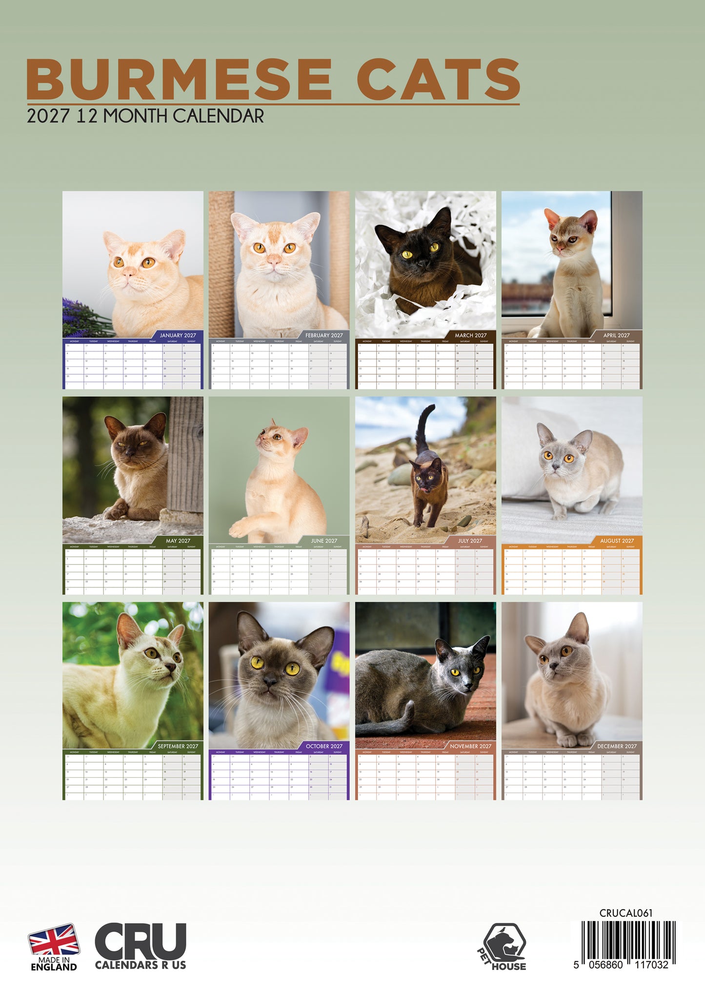 Burmese Cats Calendar 2027 – A Year of Grace and Charm