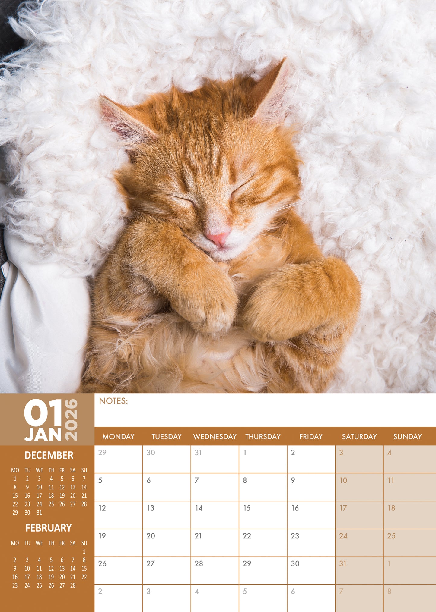 Cats Having Naps Calendar 2026 – A Year of Adorable Cat Naps