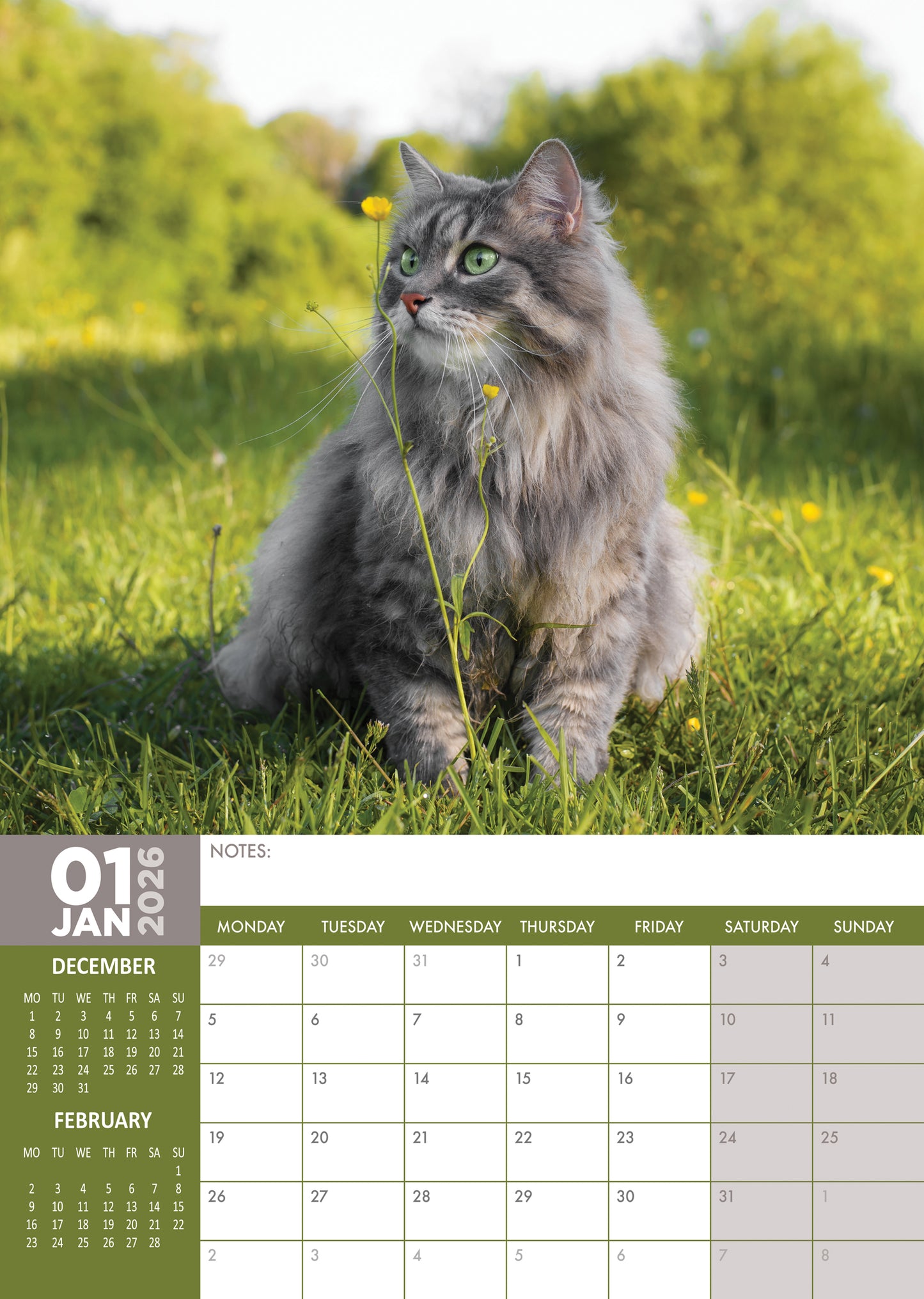 Cats Calendar 2026 – A Year of Feline Elegance