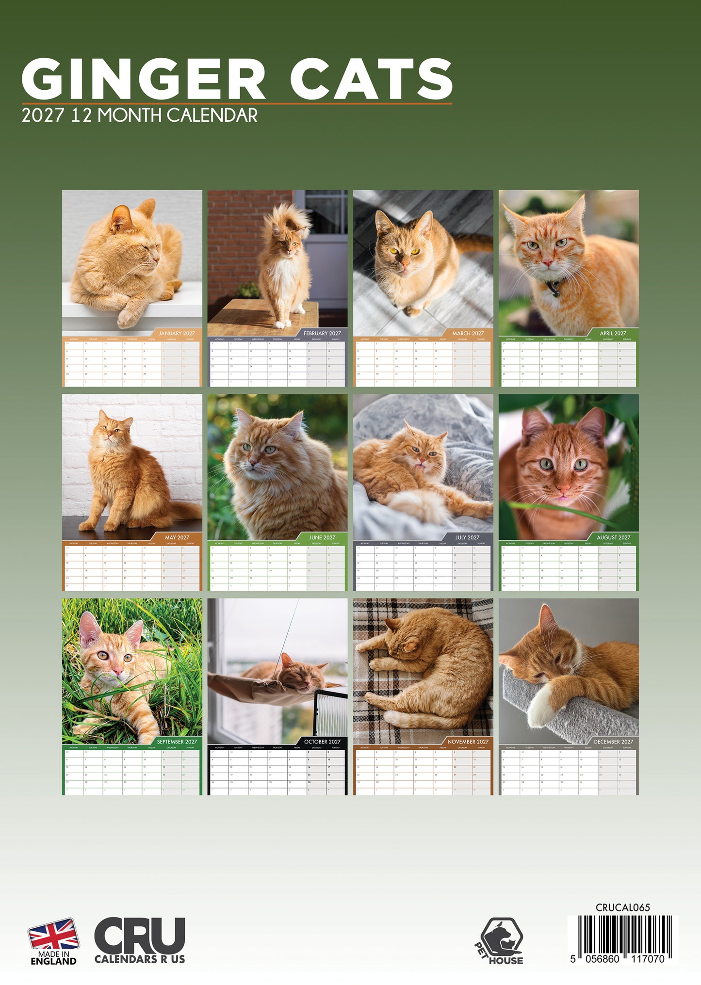 Ginger Cats Calendar 2027 – A Celebration of Fiery Felines