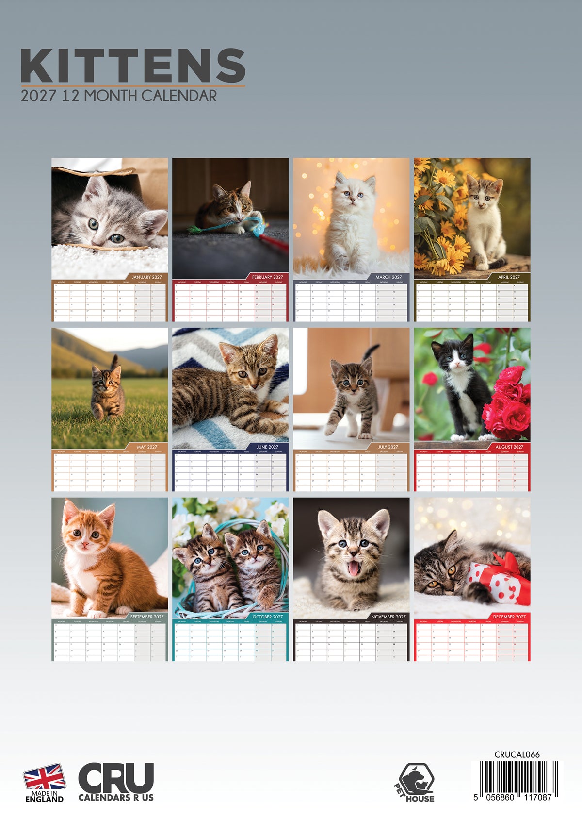 Kittens Calendar 2027 – A Year of Cuteness Overload