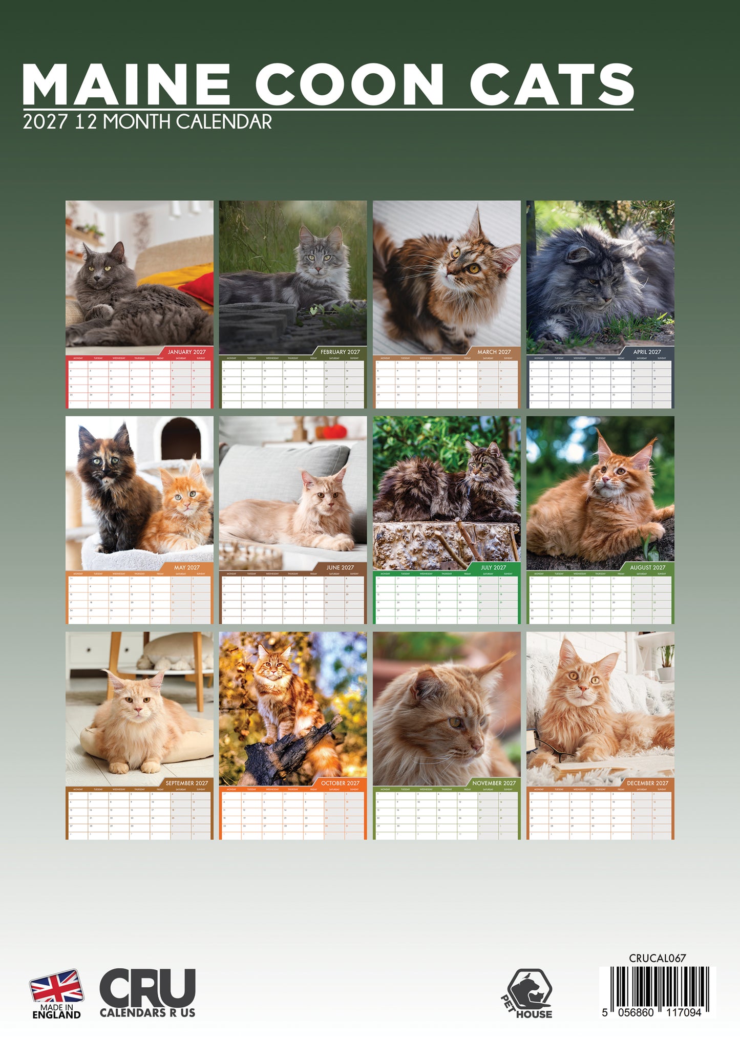 Maine Coon Cats Calendar 2027 – A Year of Majestic Beauty