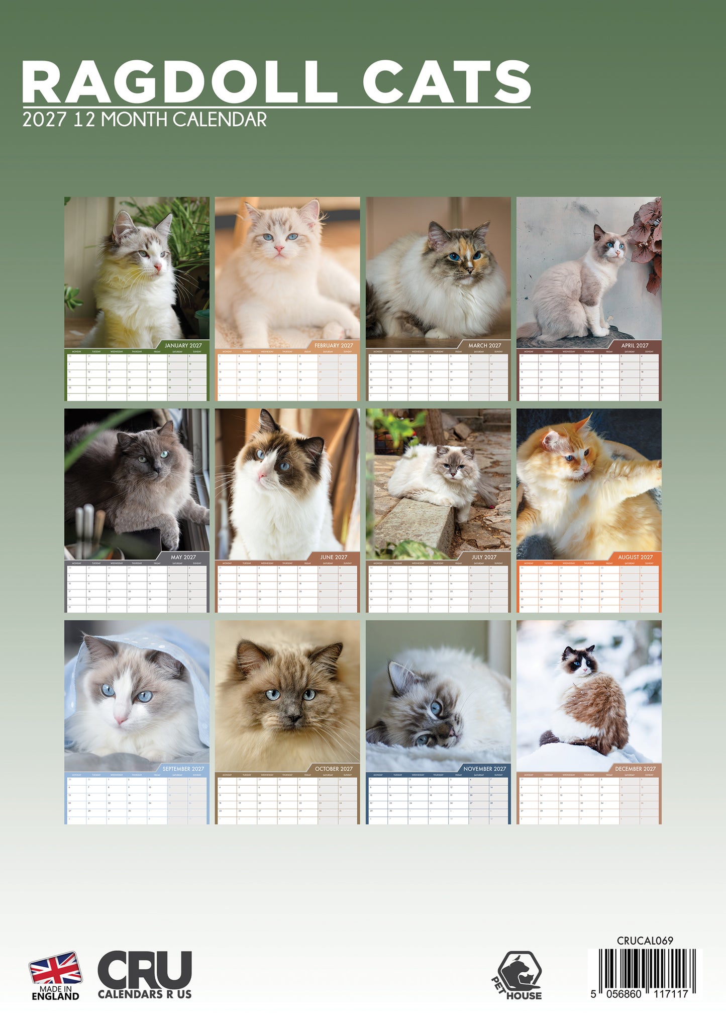 Ragdoll Cats Calendar 2027 – A Year of Relaxed Beauty
