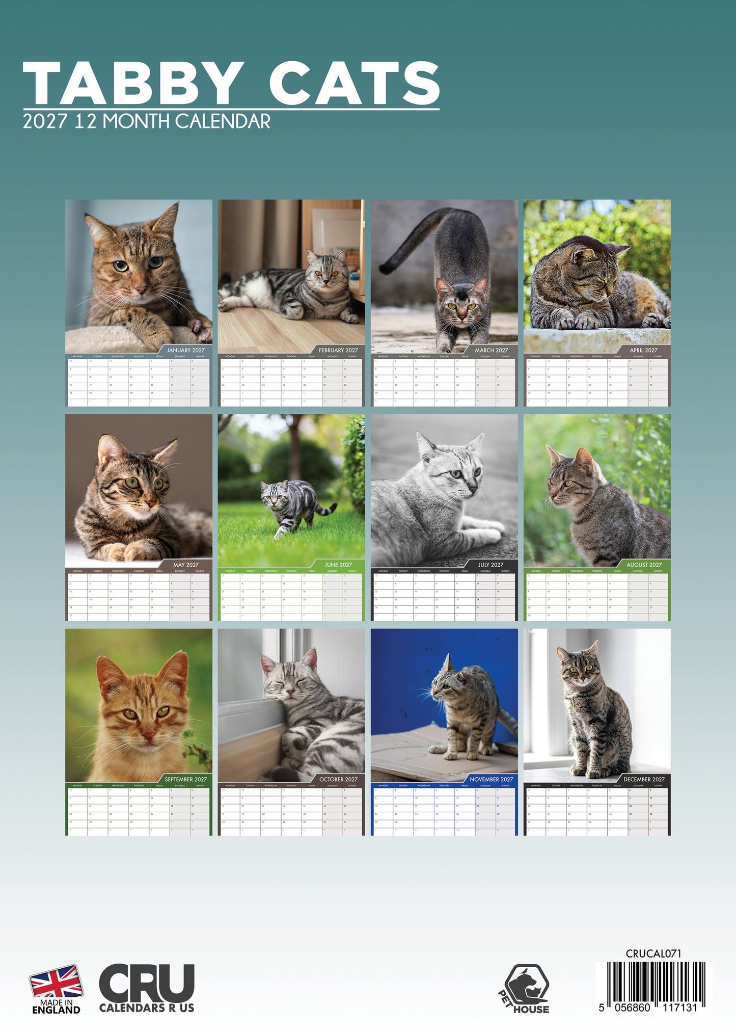 Tabby Cats Calendar 2027 – Adorable and Playful Companions