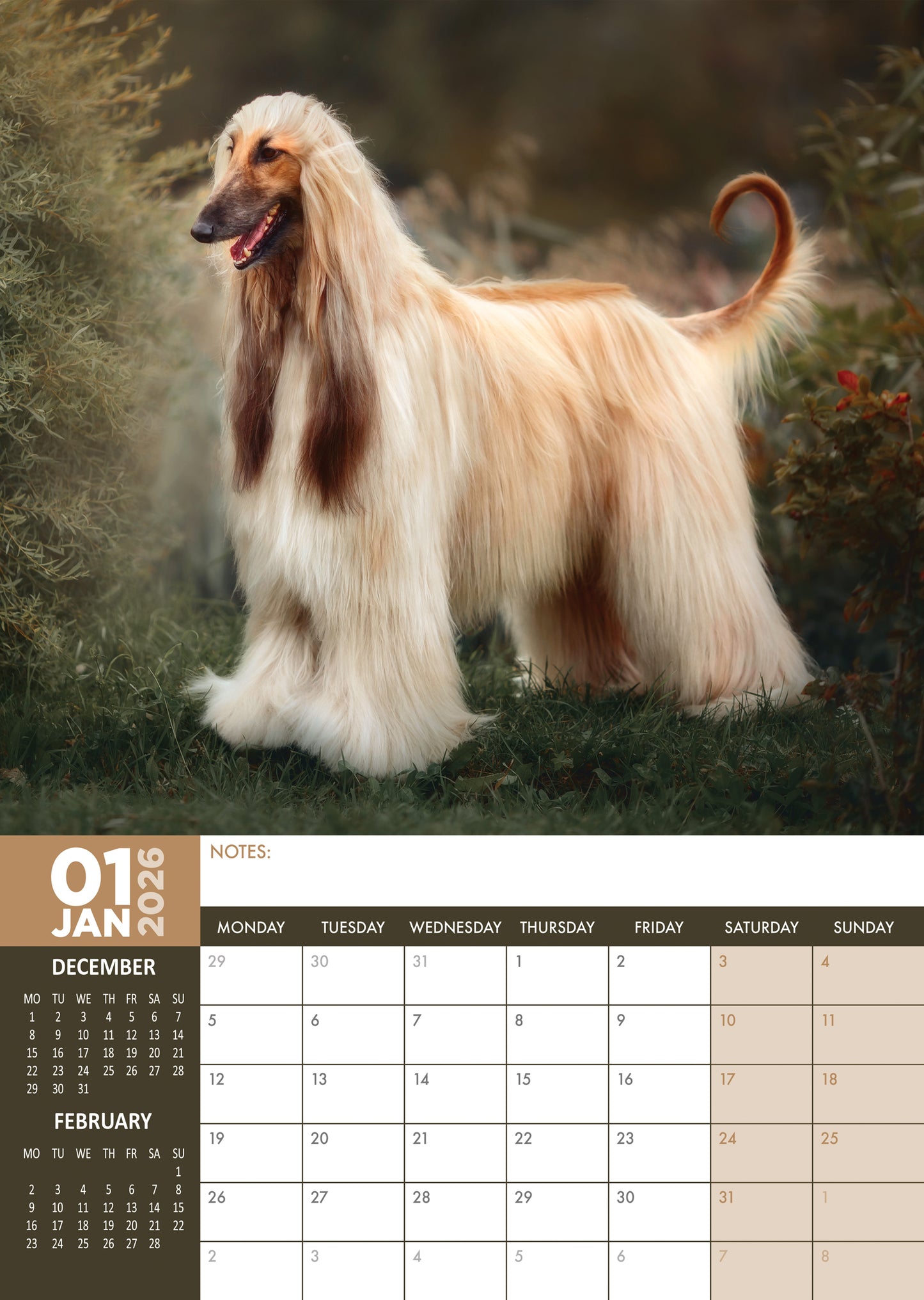 Afghan Hound Calendar 2026 – A3 Wall Calendar for Afghan Dog Lovers