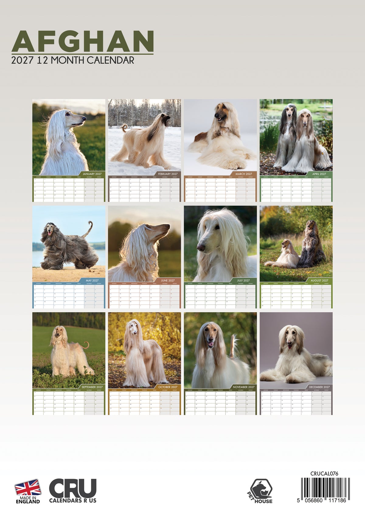 Afghan Hound Calendar 2027 – A3 Wall Calendar for Afghan Dog Lovers