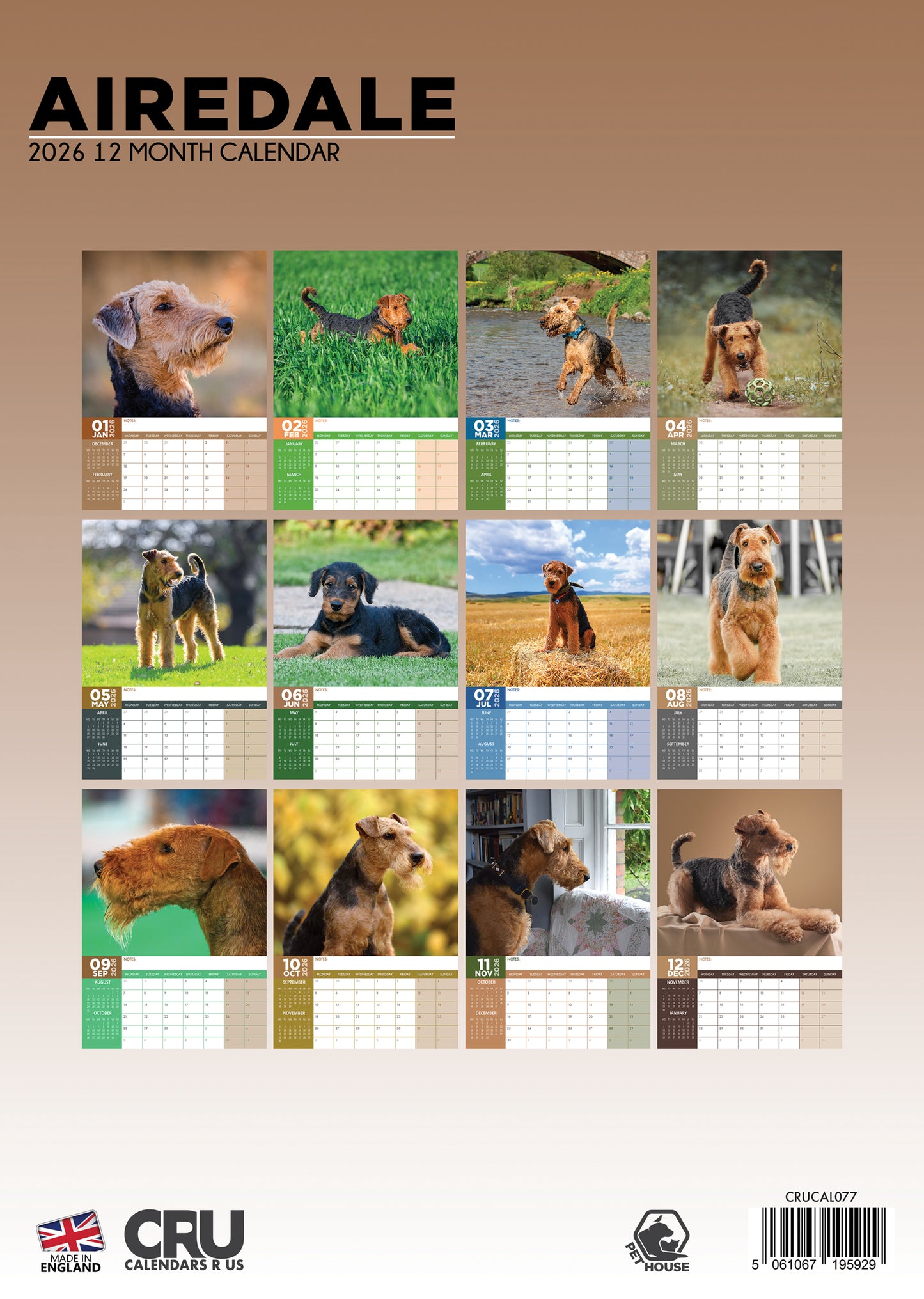 Airedale Terrier Calendar 2026 – The King of Terriers All Year Long