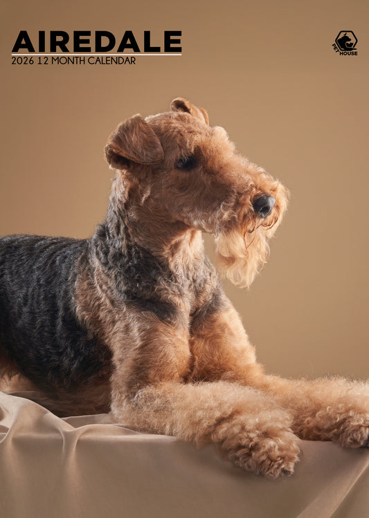 Airedale Terrier Calendar 2026 – The King of Terriers All Year Long