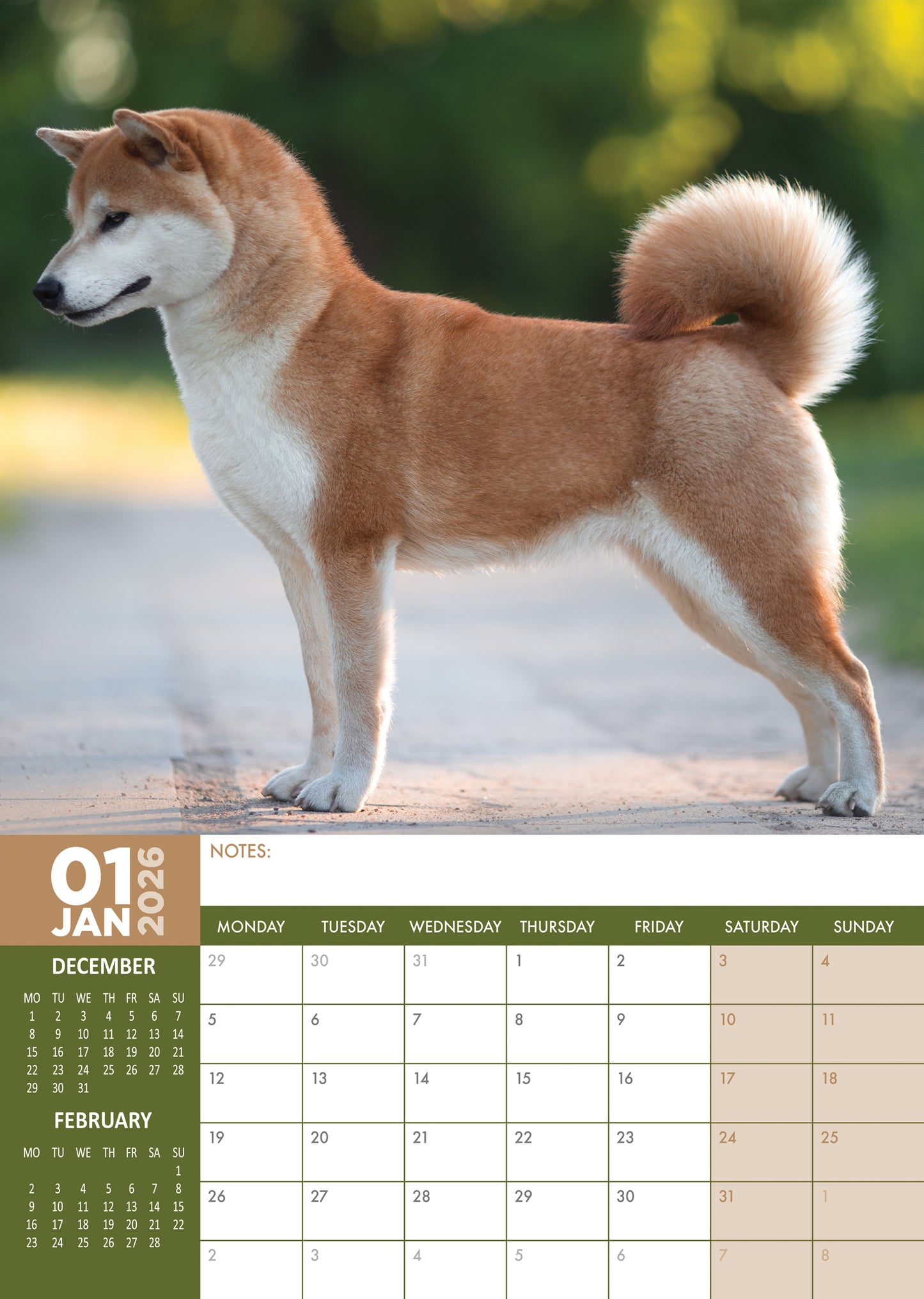 Akita Calendar 2026 – Majestic A3 Wall Calendar for Dog Enthusiasts