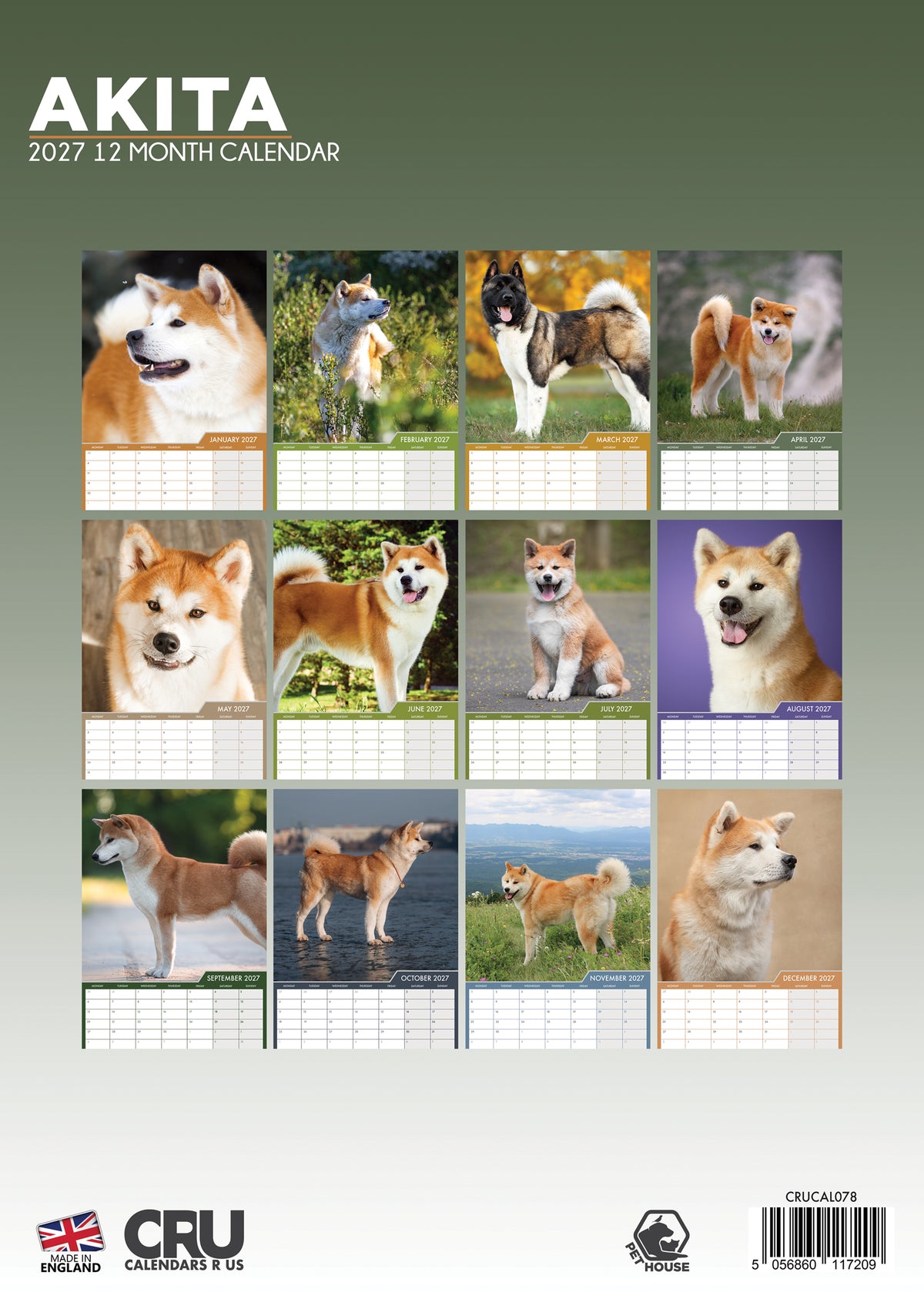 Akita Calendar 2027 – Majestic A3 Wall Calendar for Dog Enthusiasts