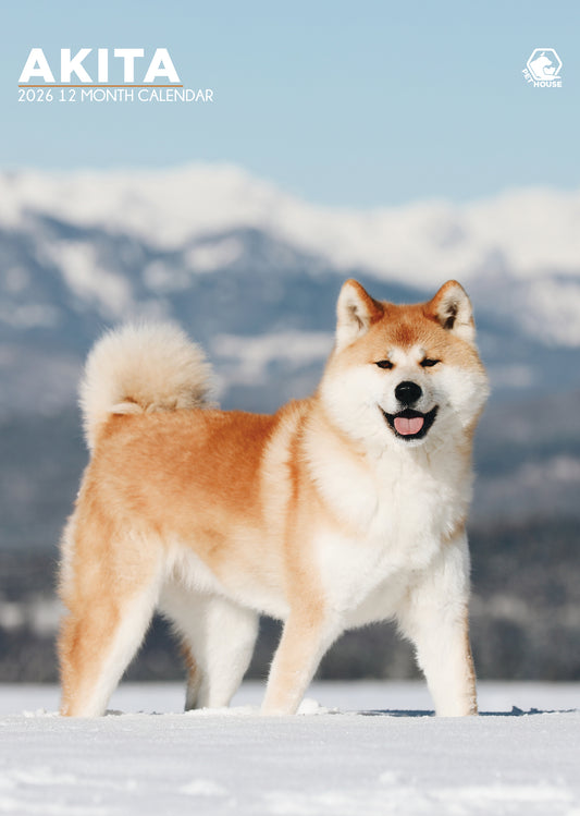 Akita Calendar 2026 – Majestic A3 Wall Calendar for Dog Enthusiasts