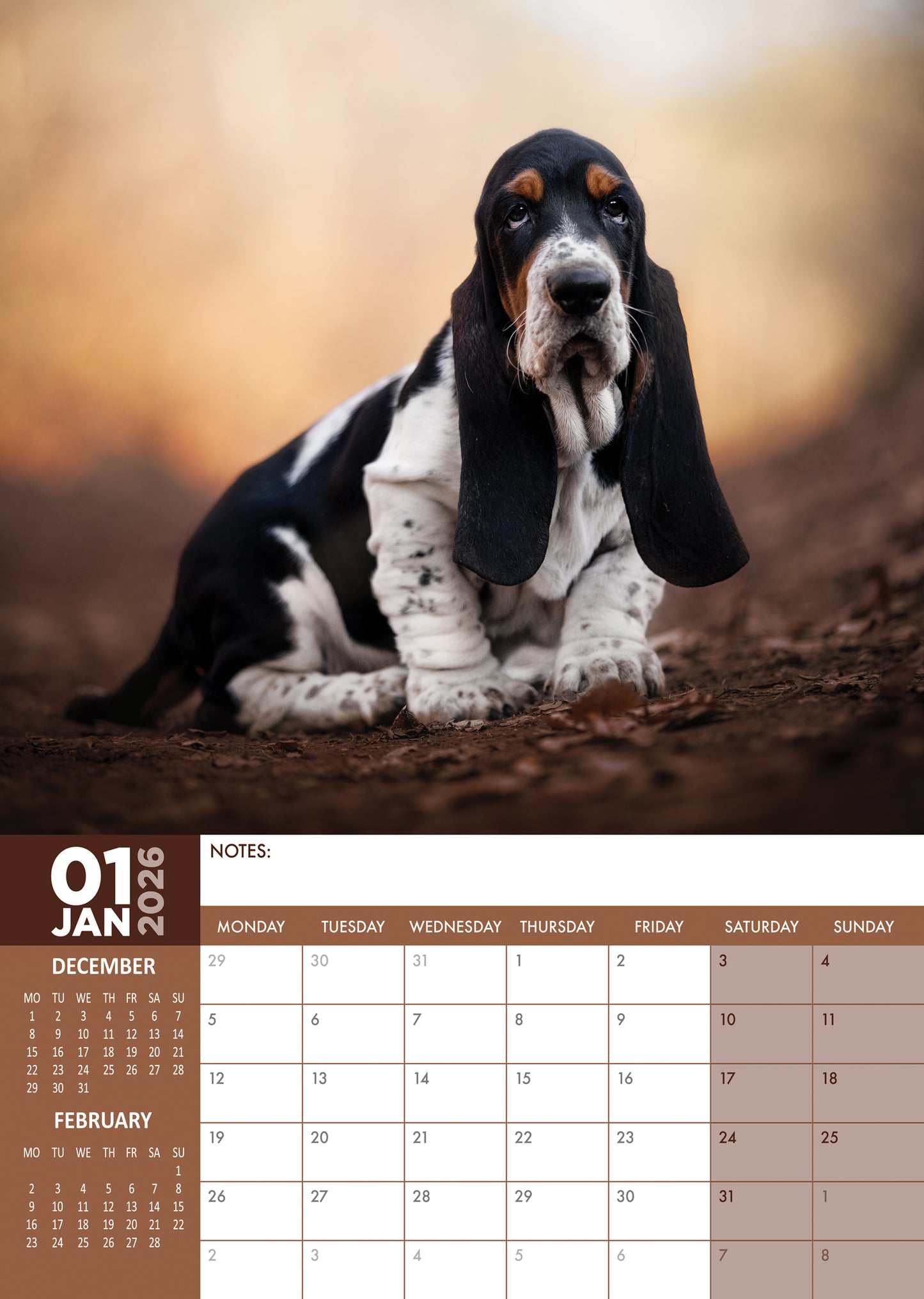 Basset Hound Calendar 2026 – A Year of Droopy Ears and Big Eyes