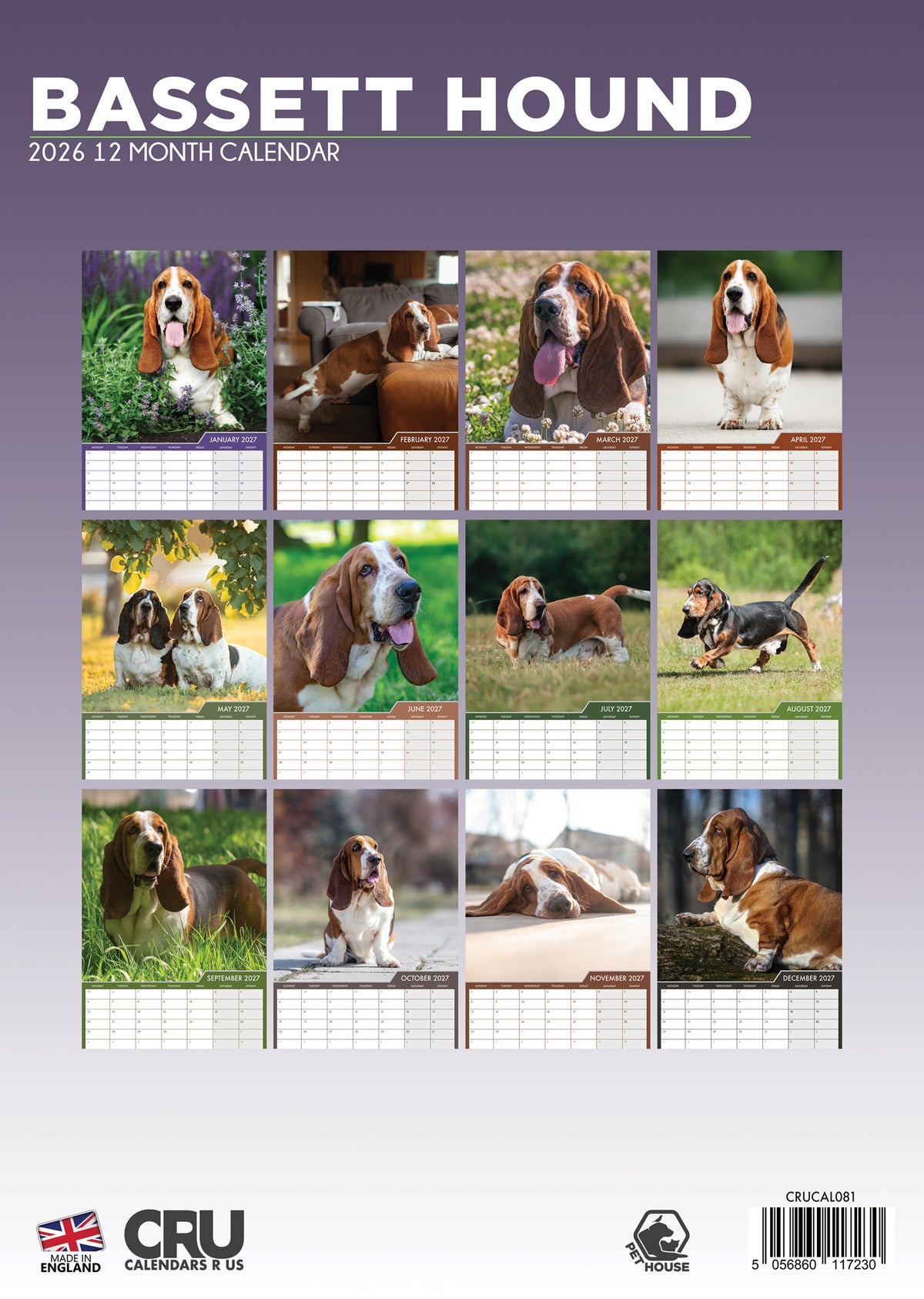 Basset Hound Calendar 2027 – A Year of Droopy Ears and Big Eyes