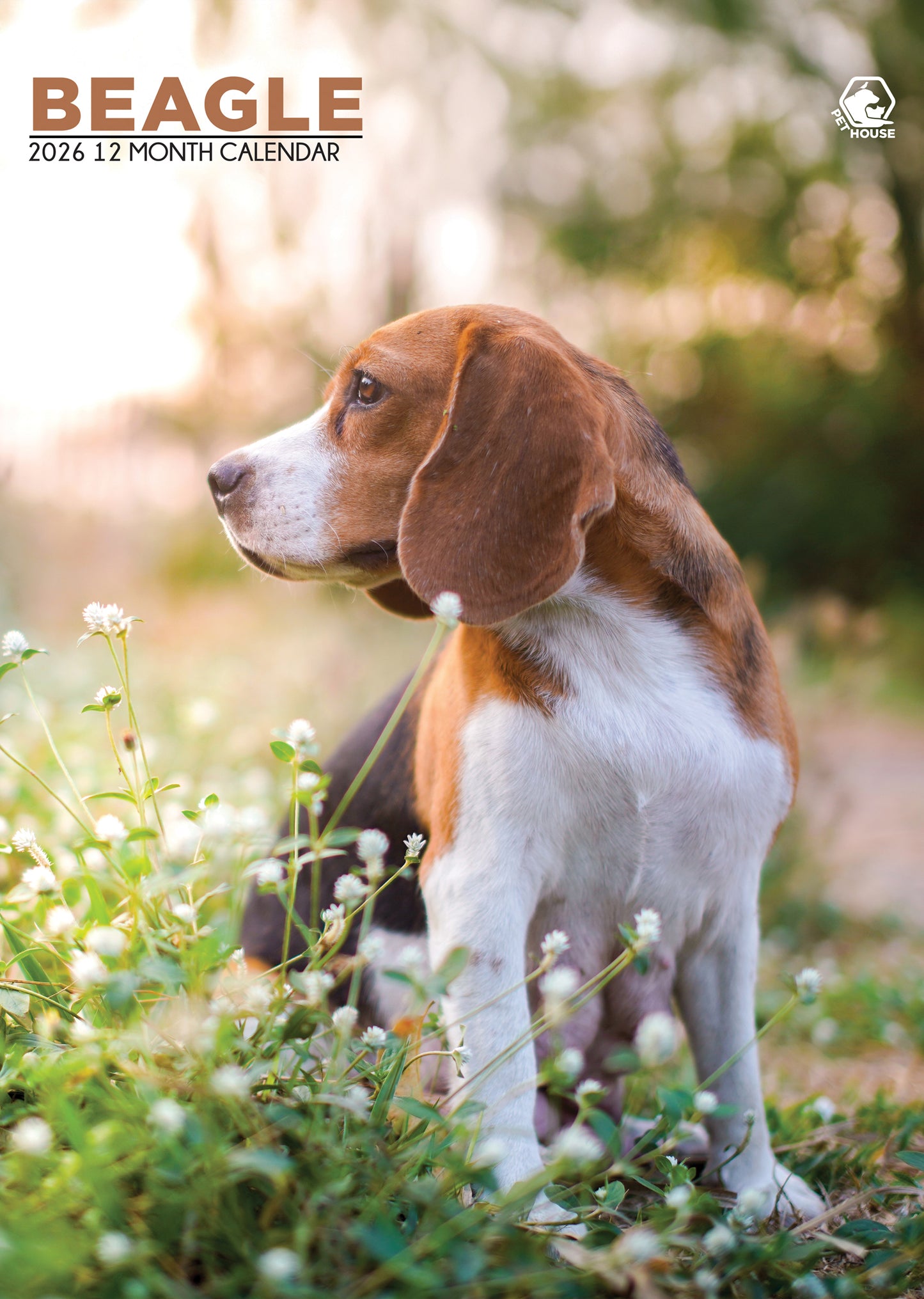 Beagle Calendar 2026 – A Year of Playful Adventures and Loving Companionship