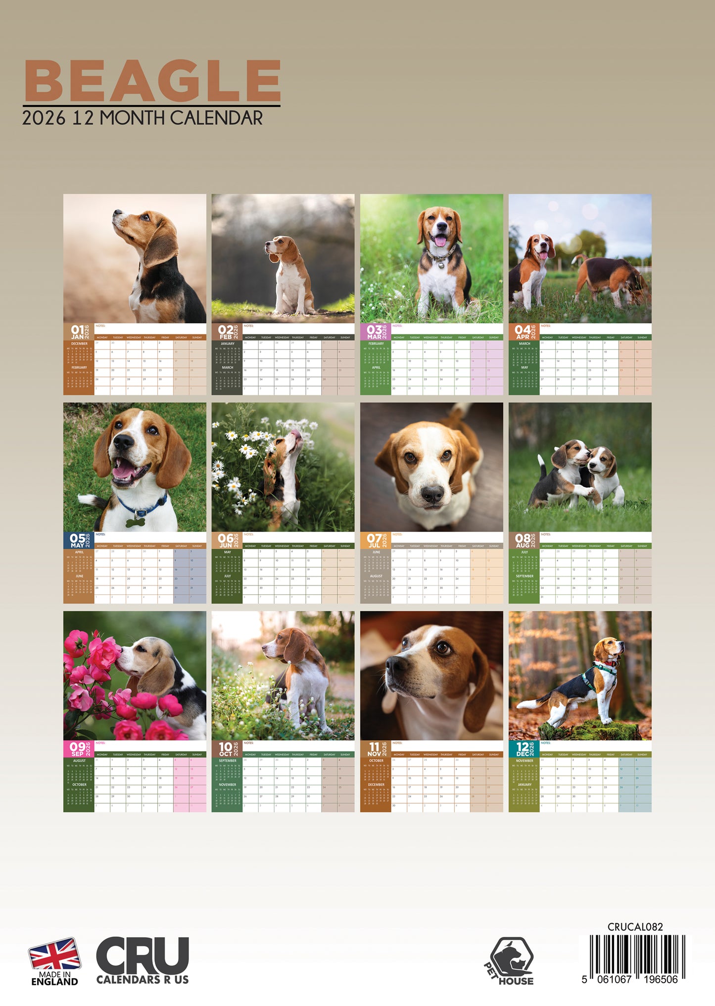 Beagle Calendar 2026 – A Year of Playful Adventures and Loving Companionship