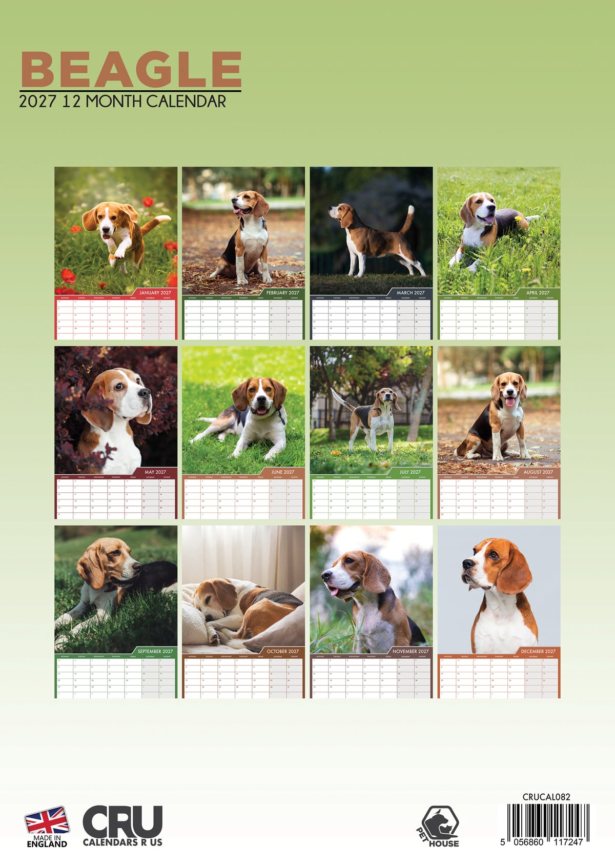Beagle Calendar 2027 – A Year of Playful Adventures and Loving Companionship