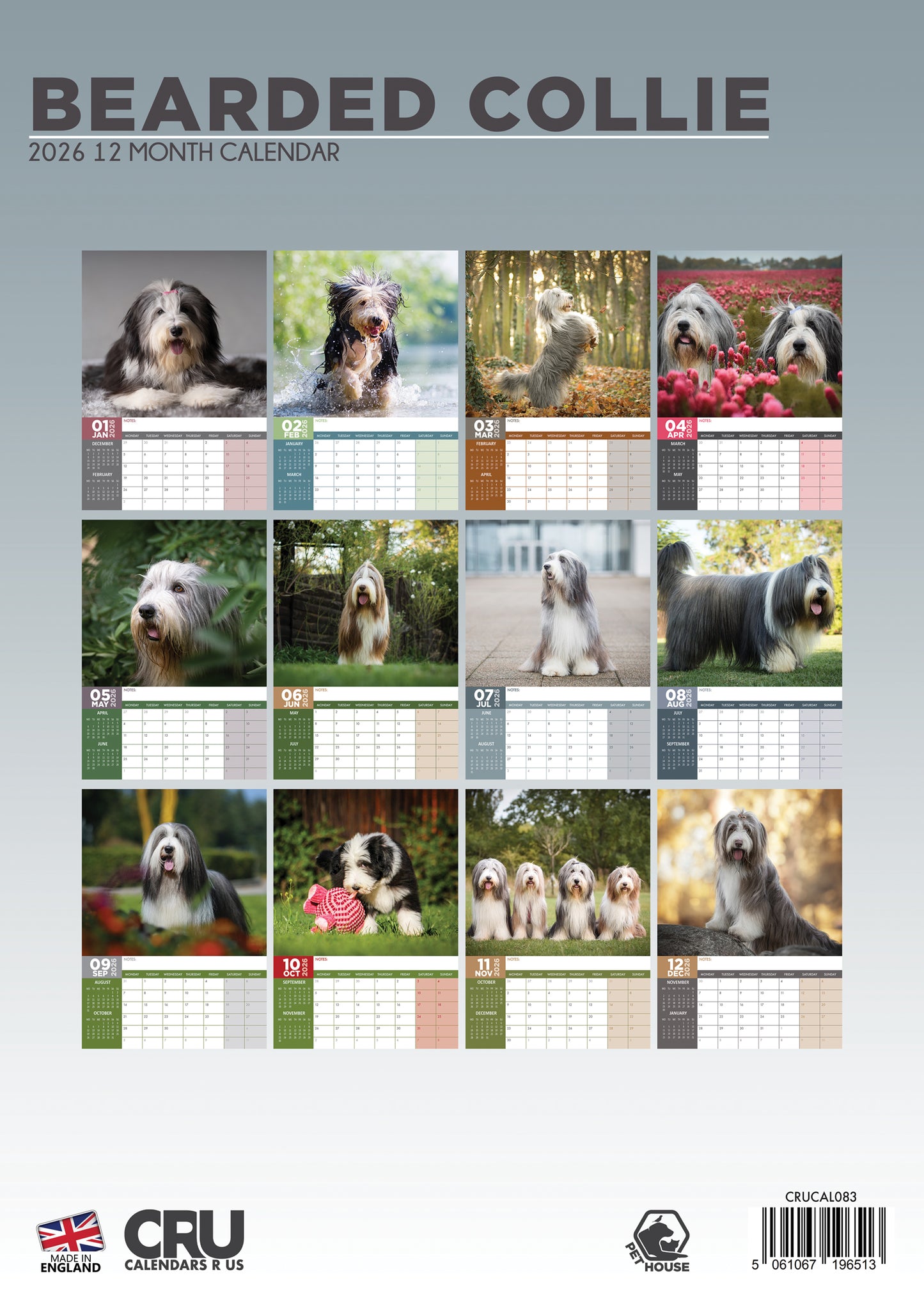Bearded Collie Calendar 2026 – A Year of Lush Coats and Playful Spirits