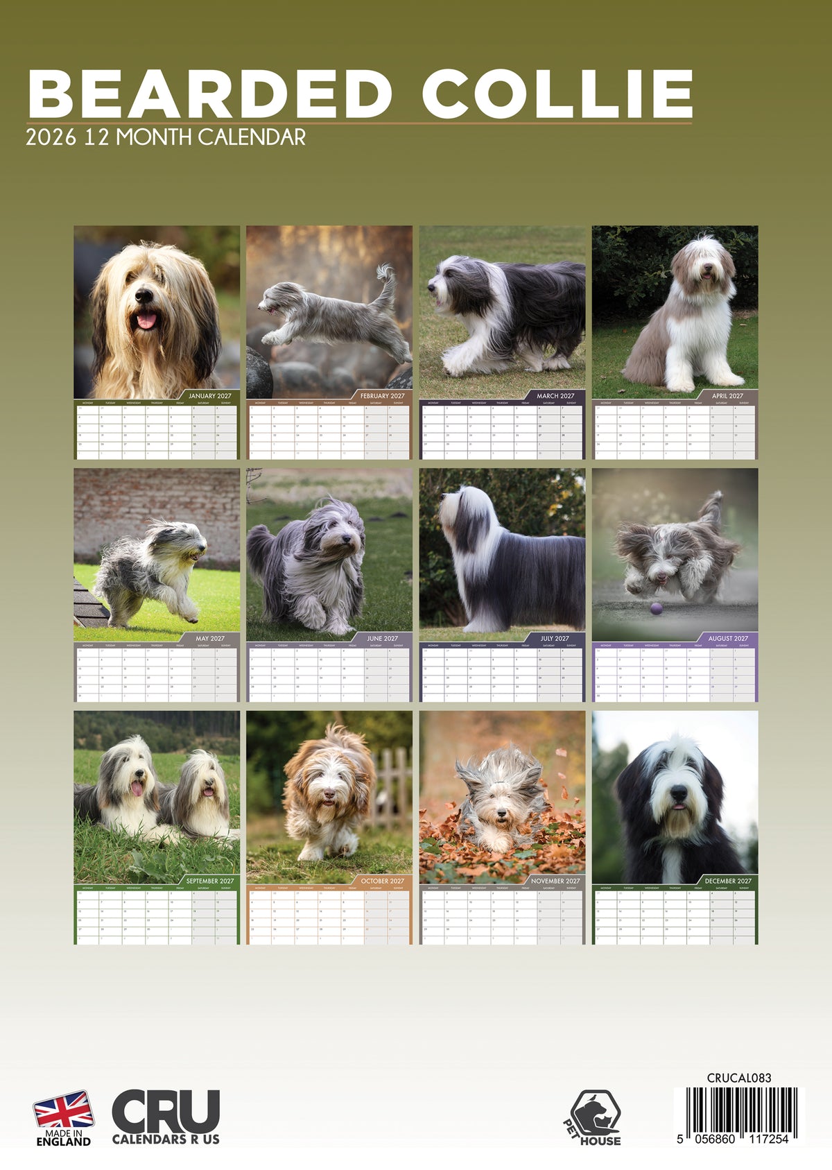Bearded Collie Calendar 2027 – A Year of Lush Coats and Playful Spirits