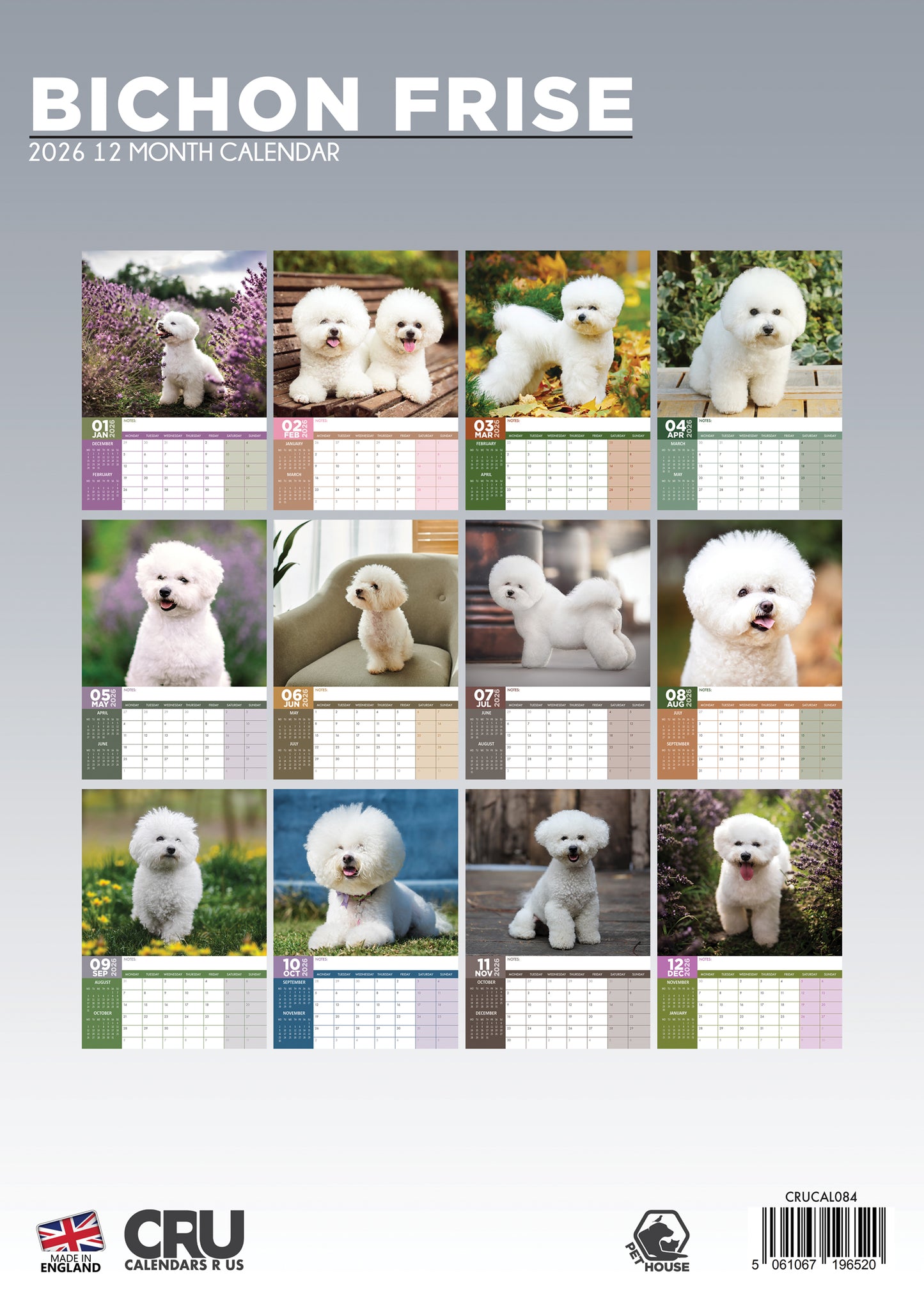 Bichon Frise Calendar 2026 – A Year of Fluffy Fun and Adorable Moments