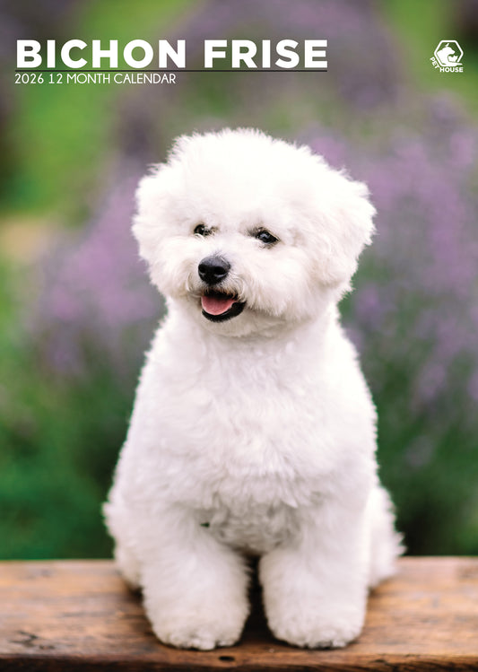 Bichon Frise Calendar 2026 – A Year of Fluffy Fun and Adorable Moments