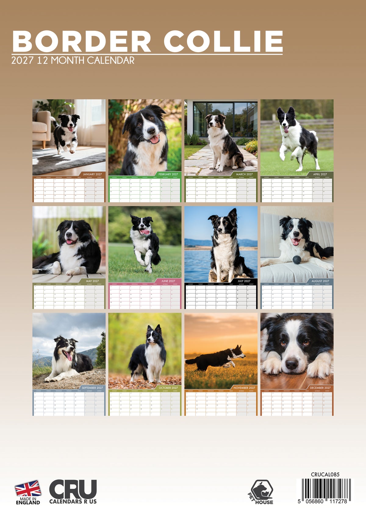 Border Collie Calendar 2027 – A Year of Intelligence, Energy & Beauty