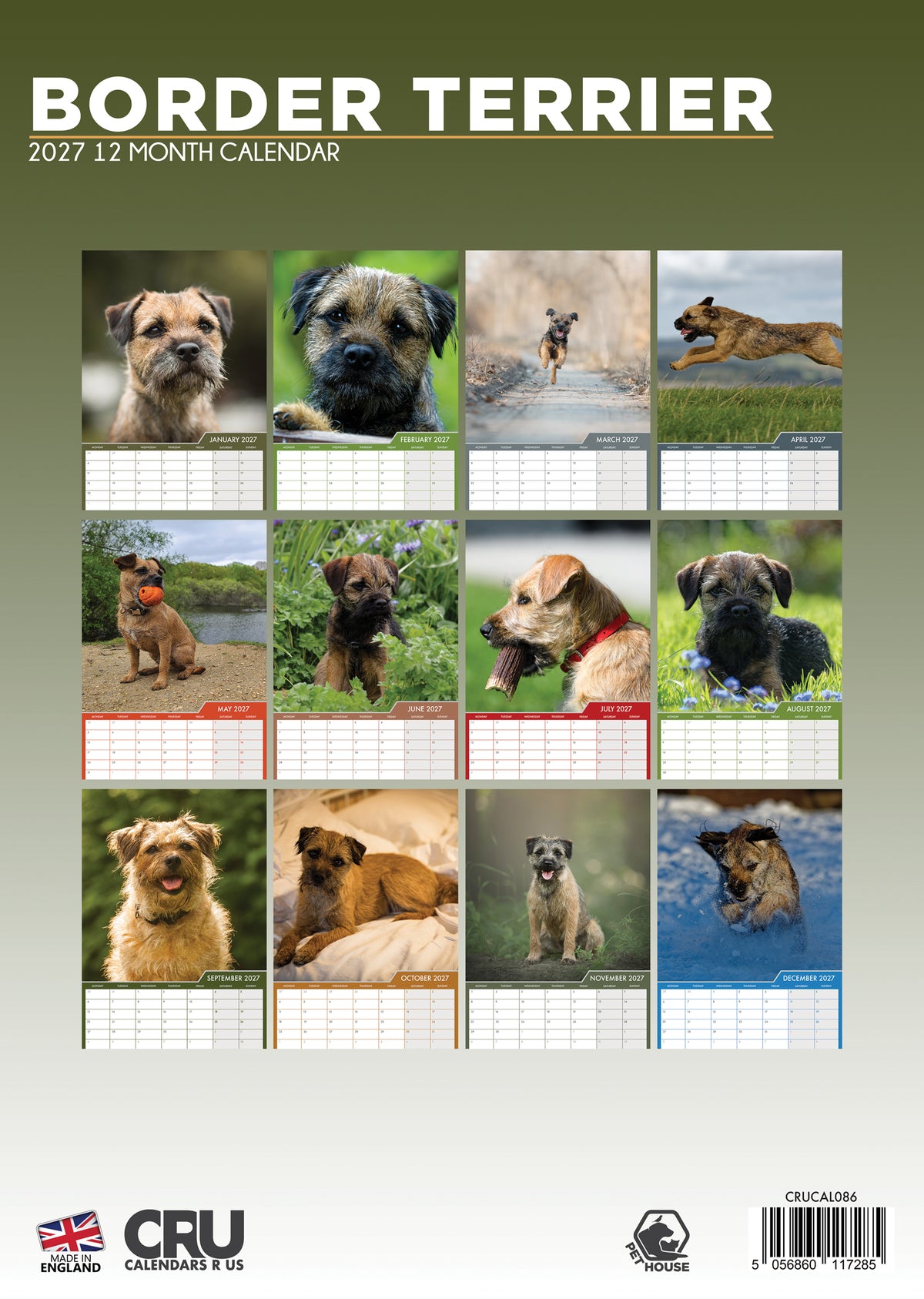 Border Terrier Calendar 2027 – A Year of Charm, Loyalty & Adventure