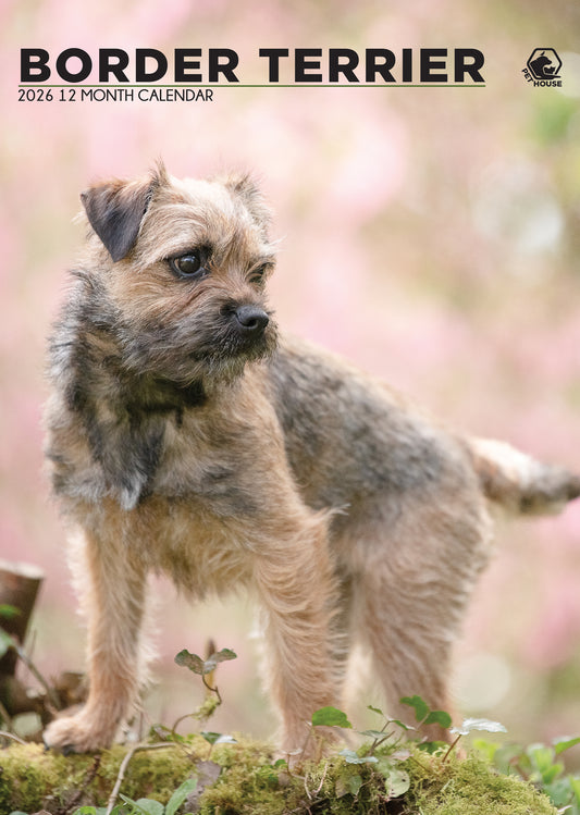 Border Terrier Calendar 2026 – A Year of Charm, Loyalty & Adventure