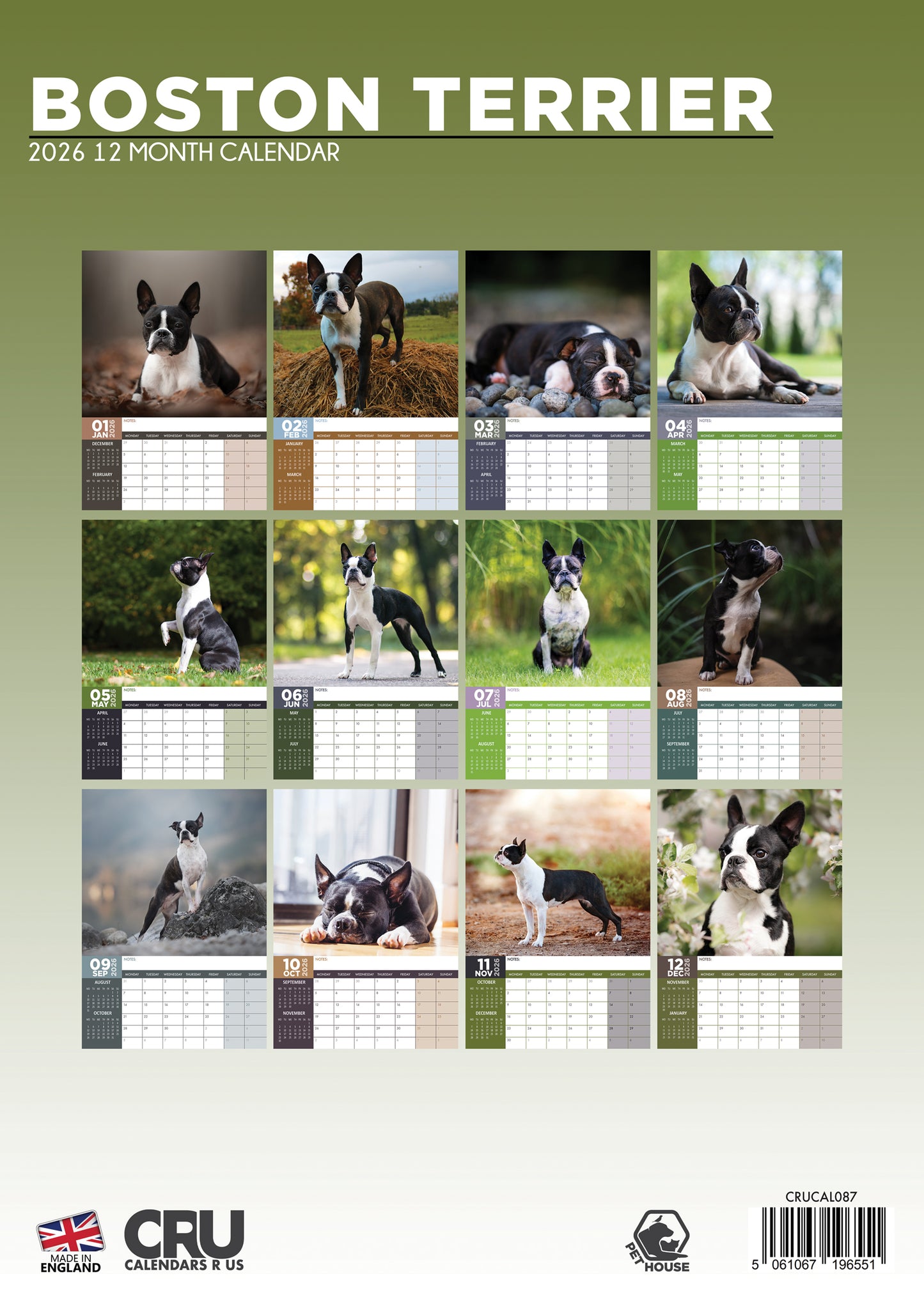 Boston Terrier Calendar 2026 – A Year with the Gentle, Lively “American Gentleman”