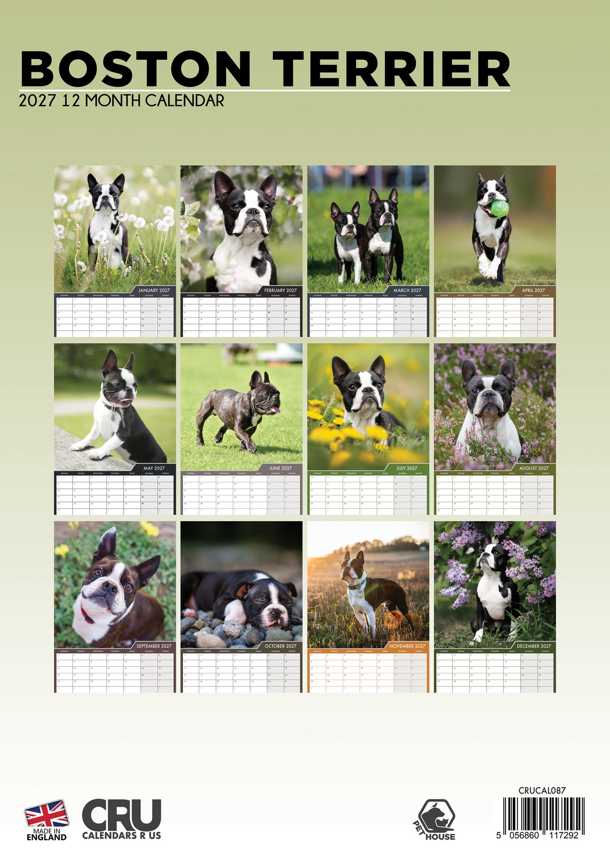 Boston Terrier Calendar 2027 – A Year with the Gentle, Lively “American Gentleman”