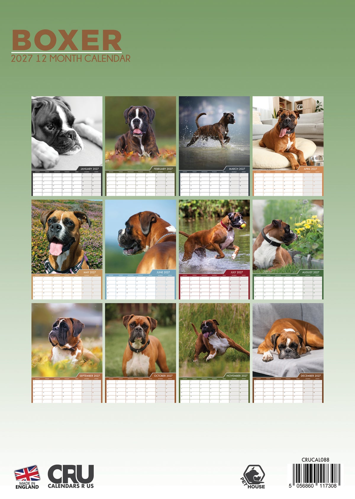 Boxer Calendar 2027 – Celebrate a Year with This Energetic and Loyal Breed