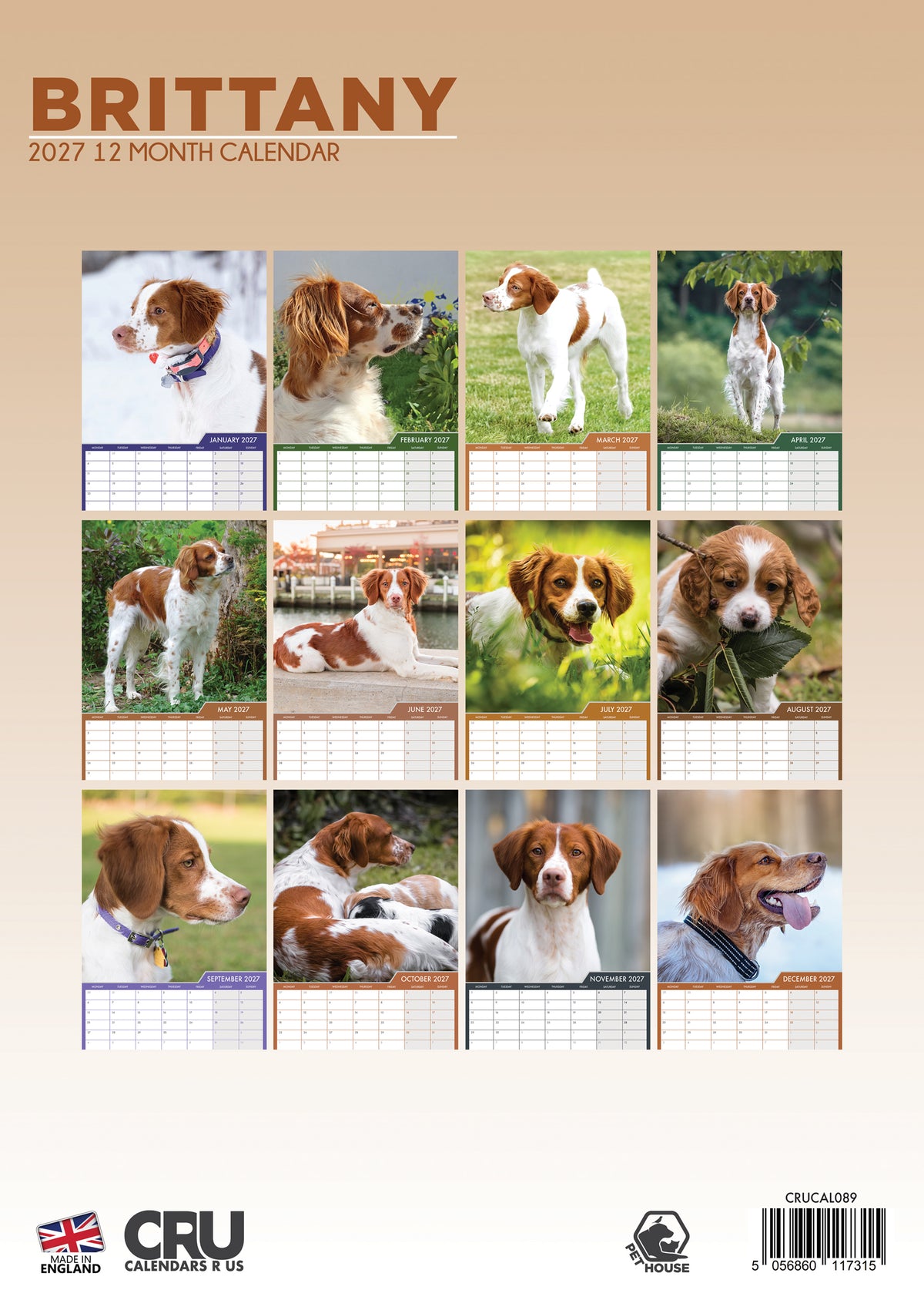 Brittany Calendar 2027 – A Year of Charm with This Energetic and Elegant Breed