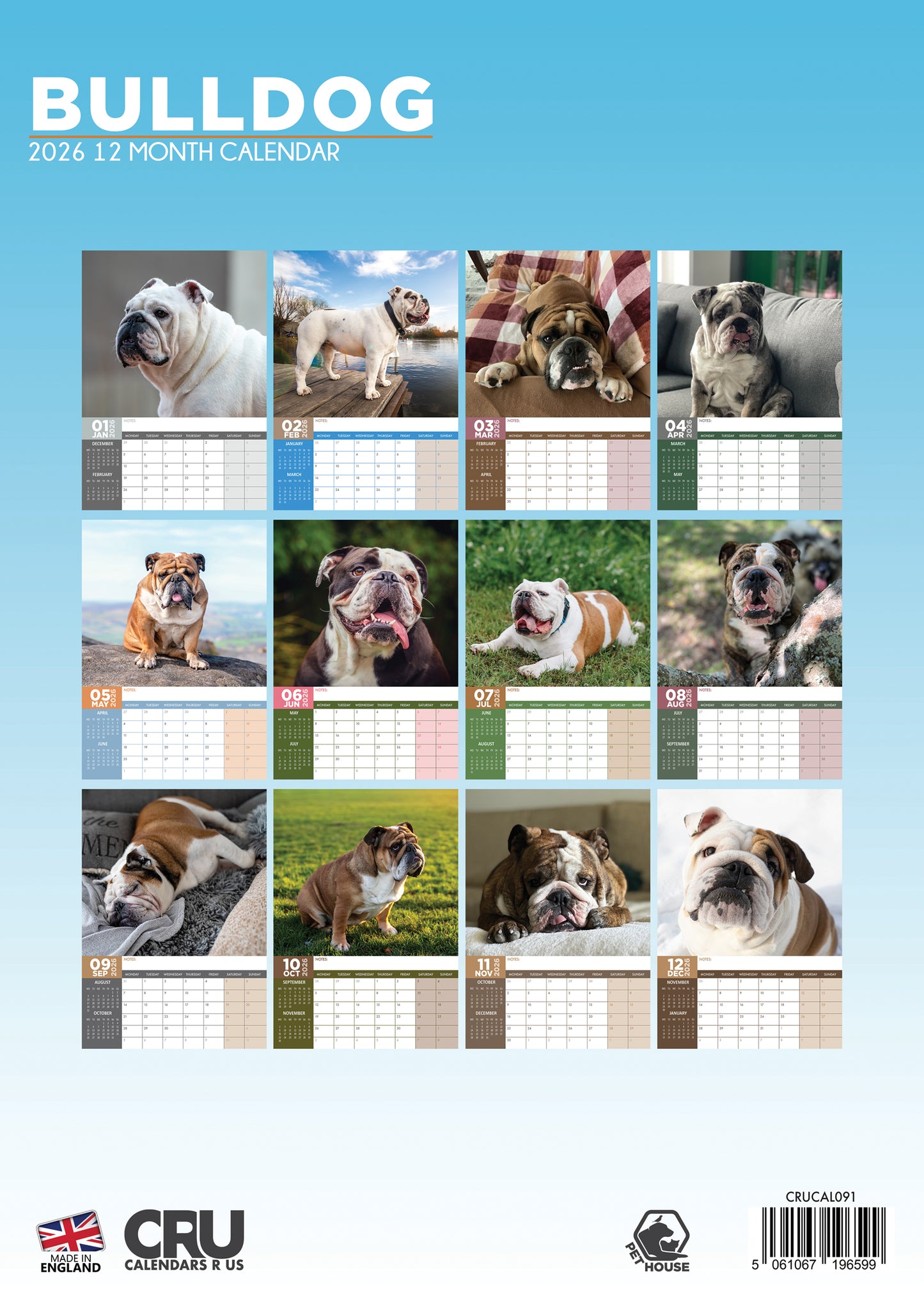 Bulldog Calendar 2026 – A Year of Charm, Courage, and Canine Love