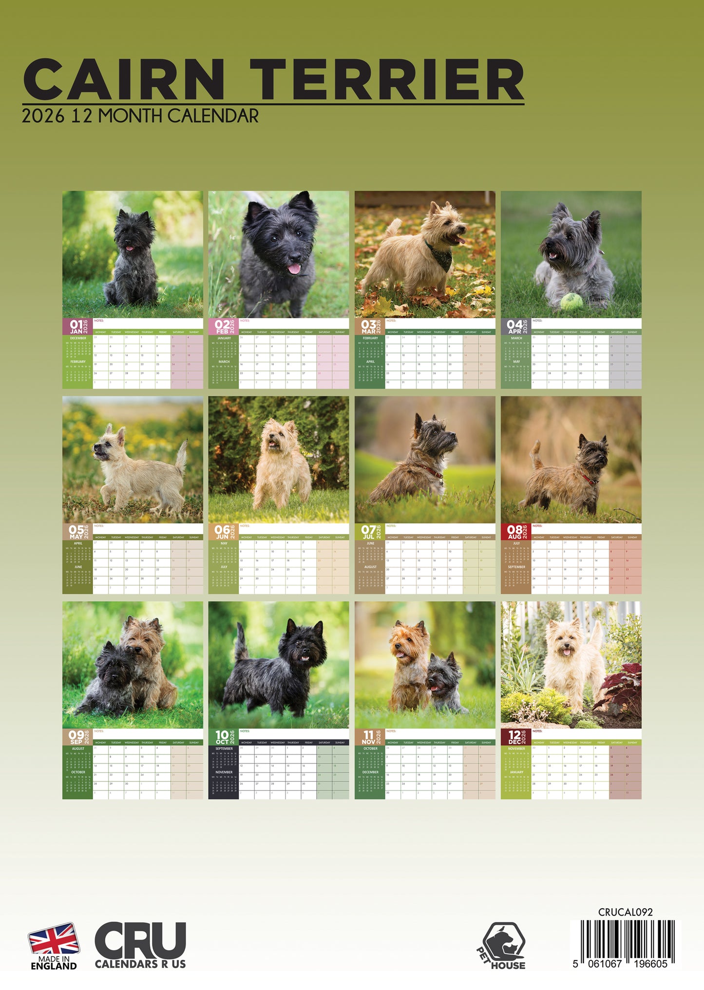 Cairn Terrier Calendar 2026 – A Year of Terrier Spirit and Charm
