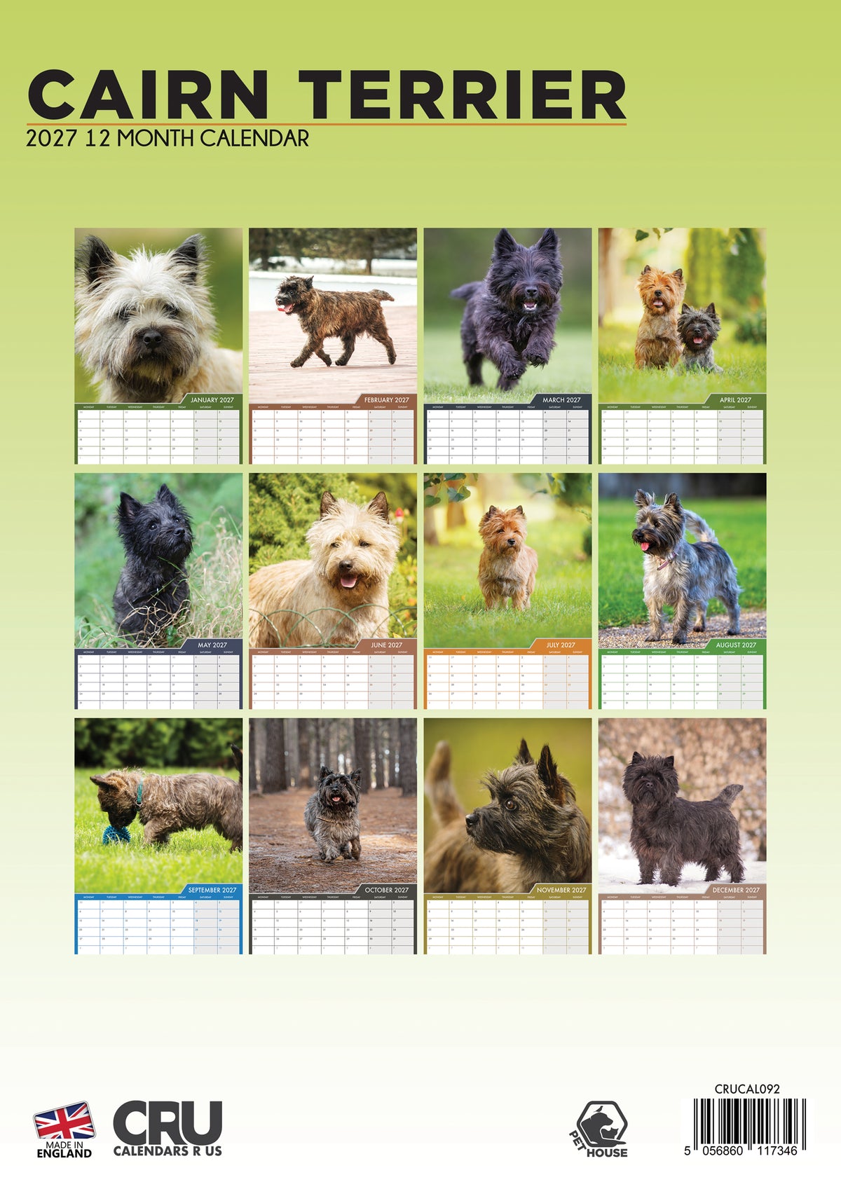 Cairn Terrier Calendar 2027 – A Year of Terrier Spirit and Charm