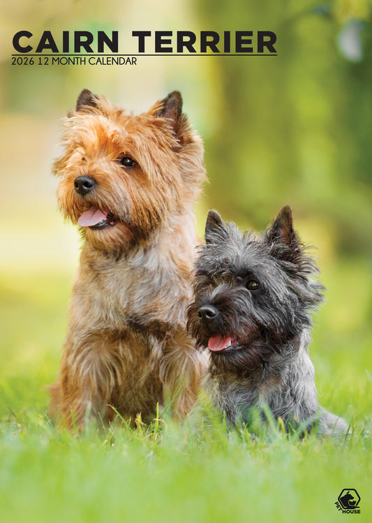 Cairn Terrier Calendar 2026 – A Year of Terrier Spirit and Charm