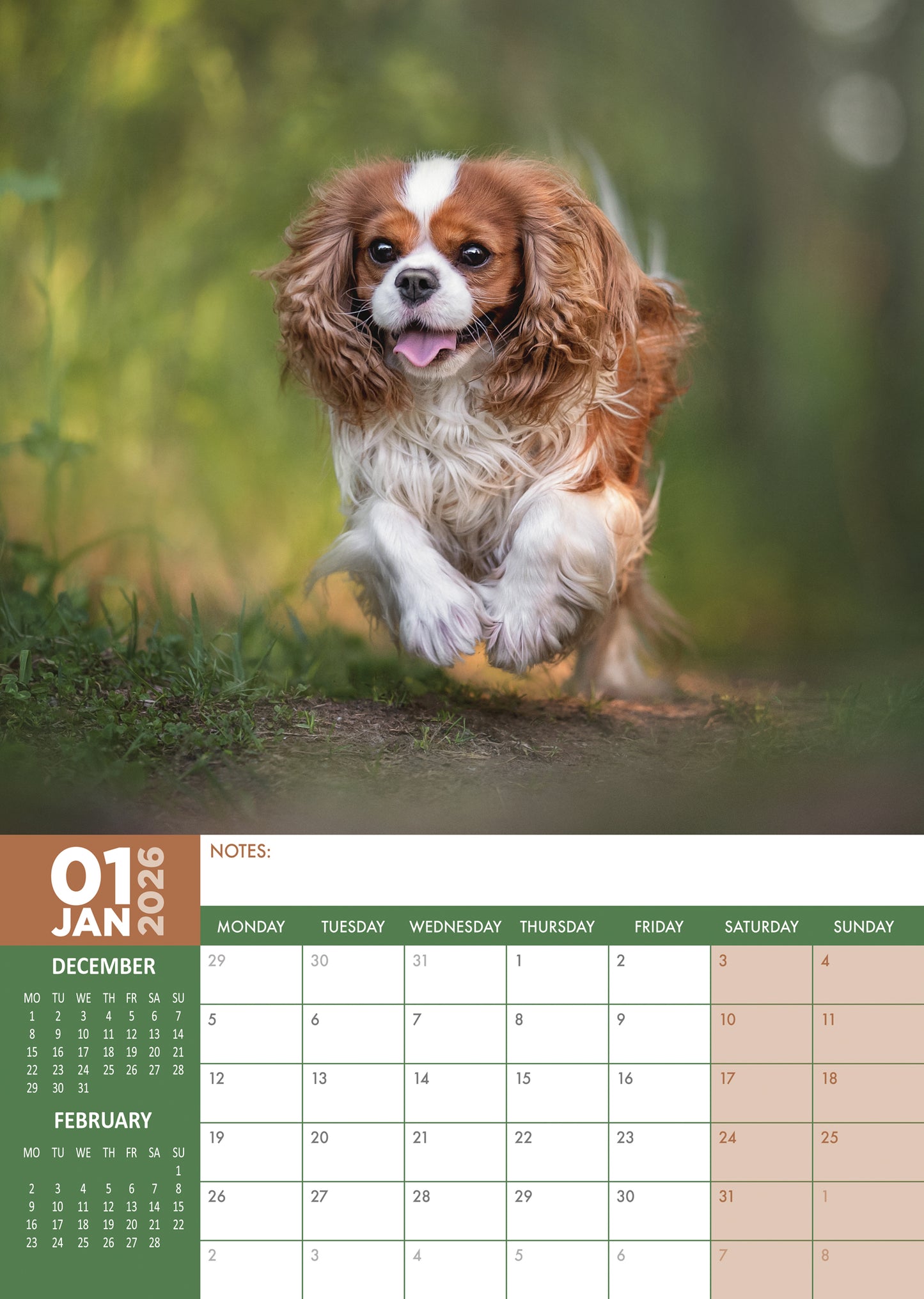 Cavalier King Charles Calendar 2026 – A Year with the Elegant Companion Dog