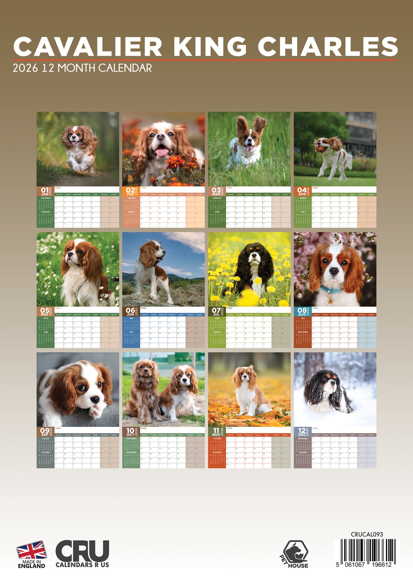 Cavalier King Charles Calendar 2026 – A Year with the Elegant Companion Dog