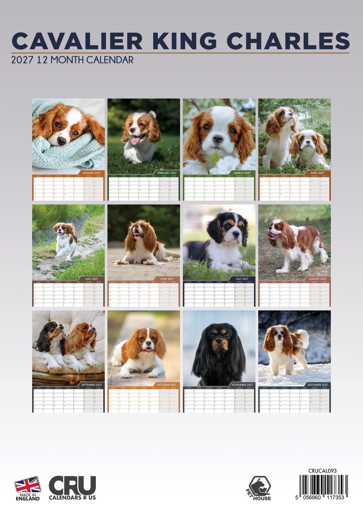 Cavalier King Charles Calendar 2027 – A Year with the Elegant Companion Dog