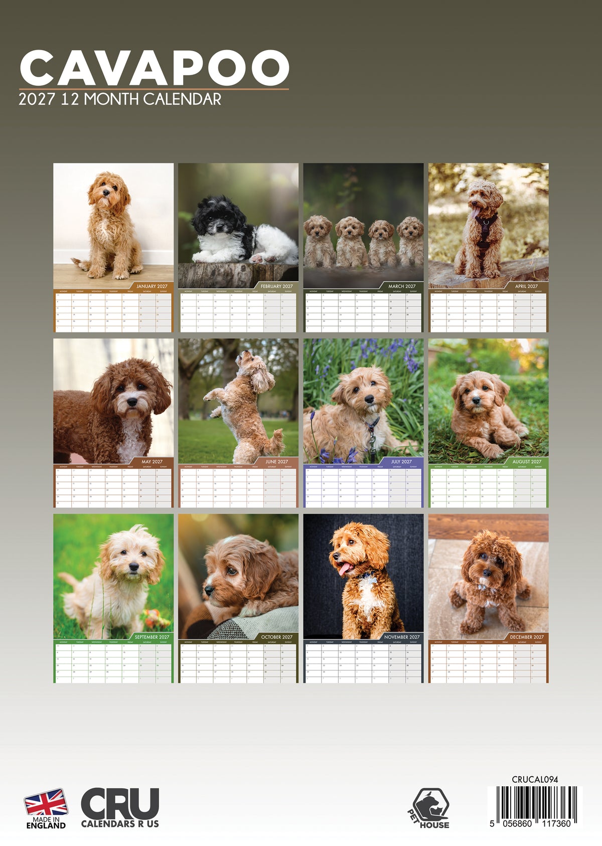 Cavapoo Calendar 2027 – A Year of Fluffy Charm and Playful Personality