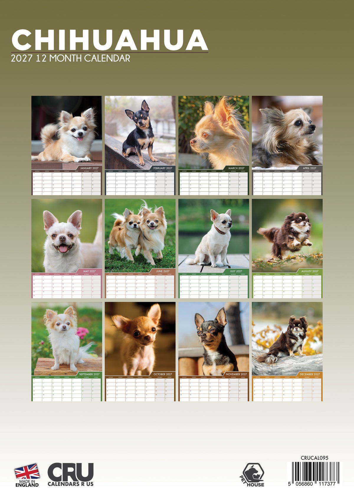 Chihuahua Calendar 2027 – Celebrate a Year with These Big-Personality Pups