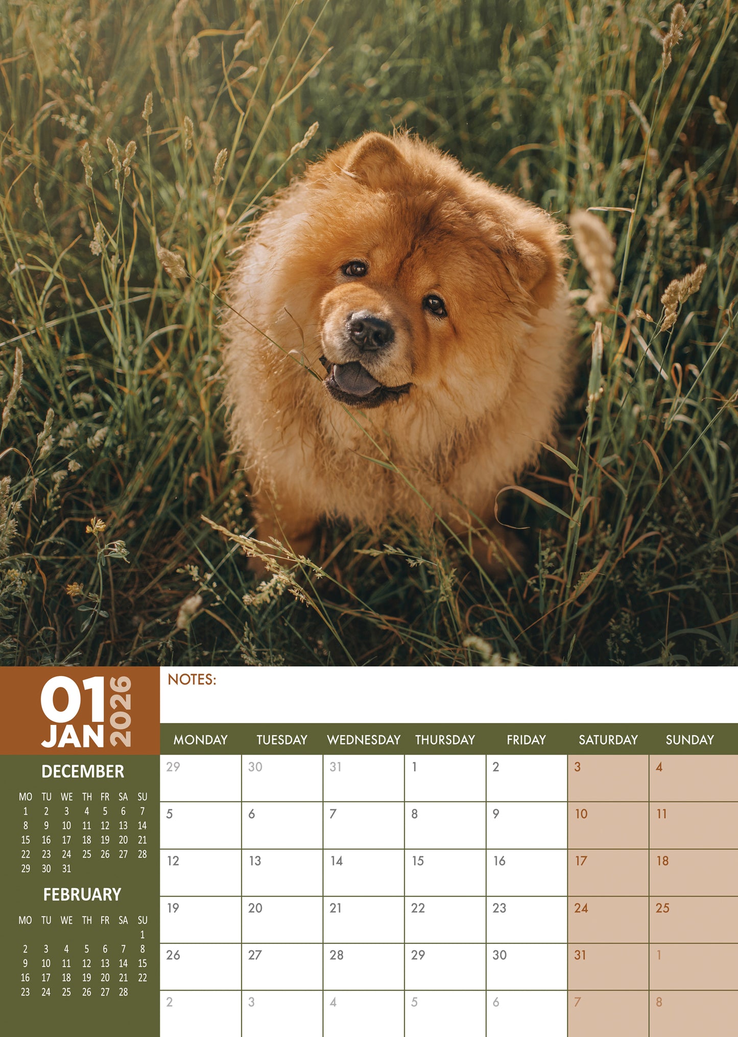 Chow Chow Calendar 2026 – A Year of Majestic Beauty and Fluffy Charm